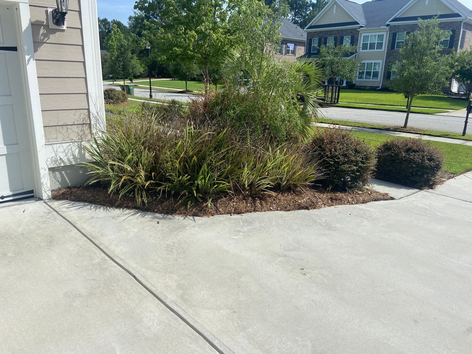 A concrete driveway leading to a house with trees and bushes in front of it.