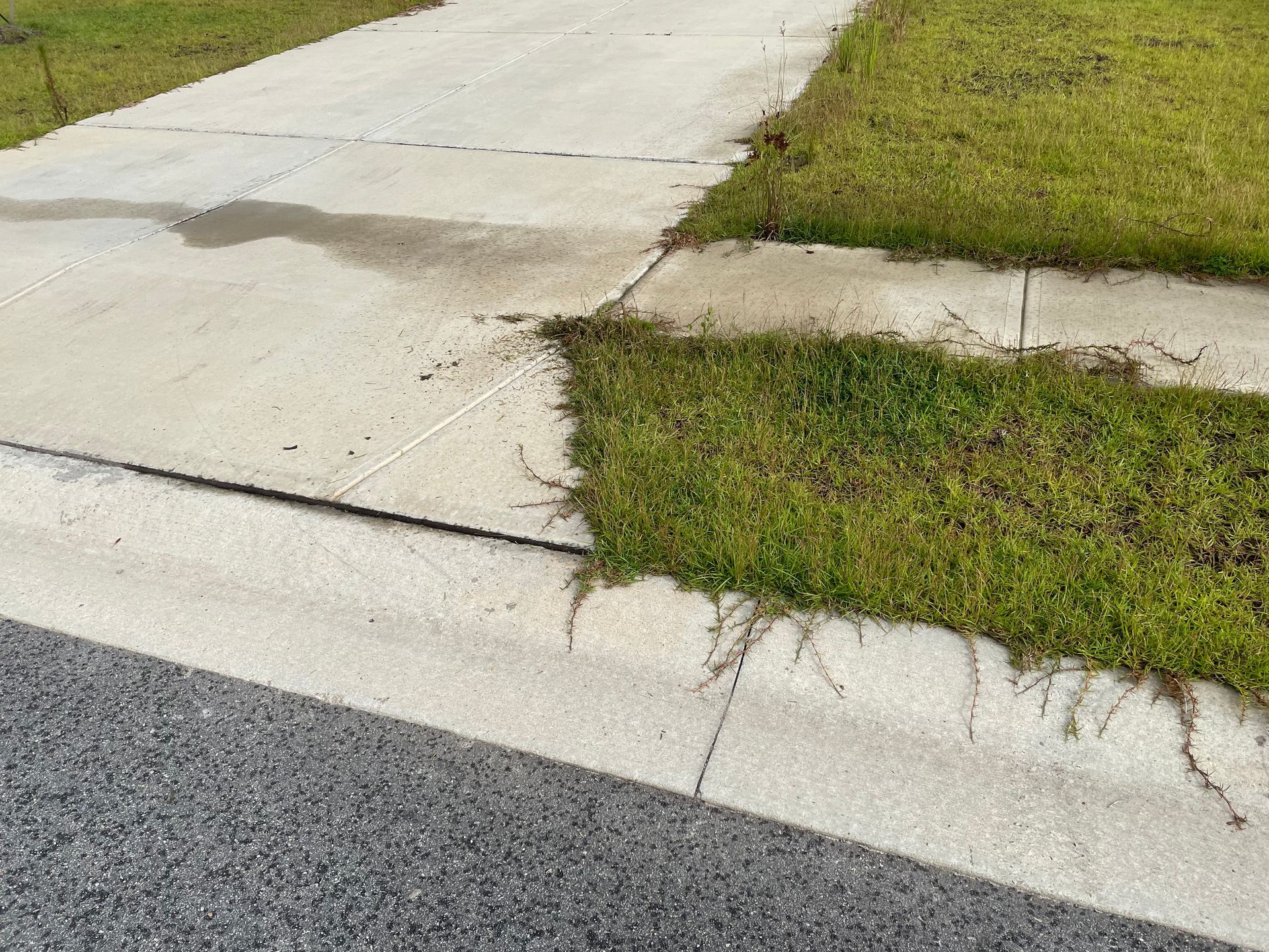 A concrete sidewalk with grass growing out of it.
