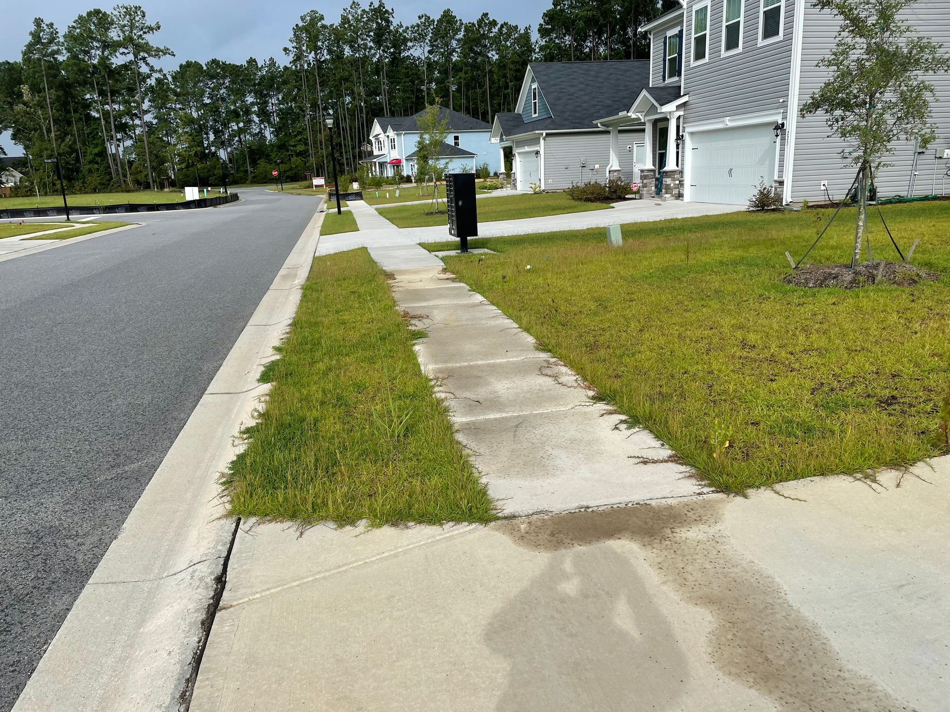 A shadow of a person is cast on the sidewalk in front of a house
