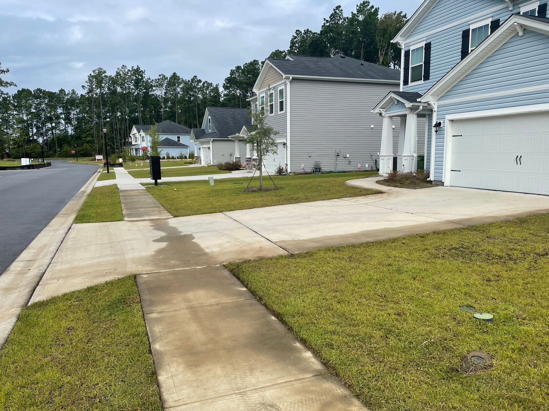 A sidewalk leading to a house in a residential neighborhood