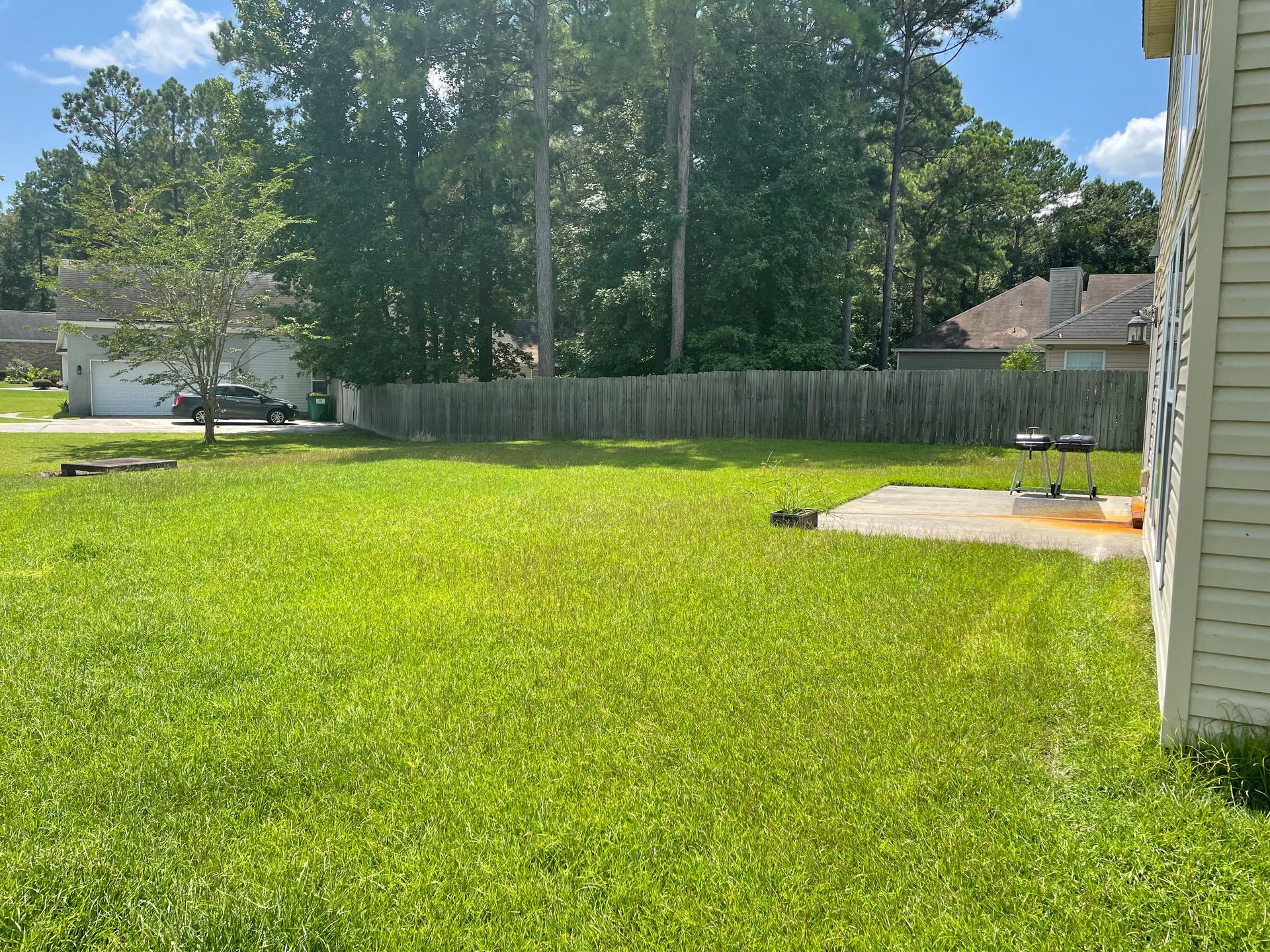 A lush green yard with a fence and a house in the background.
