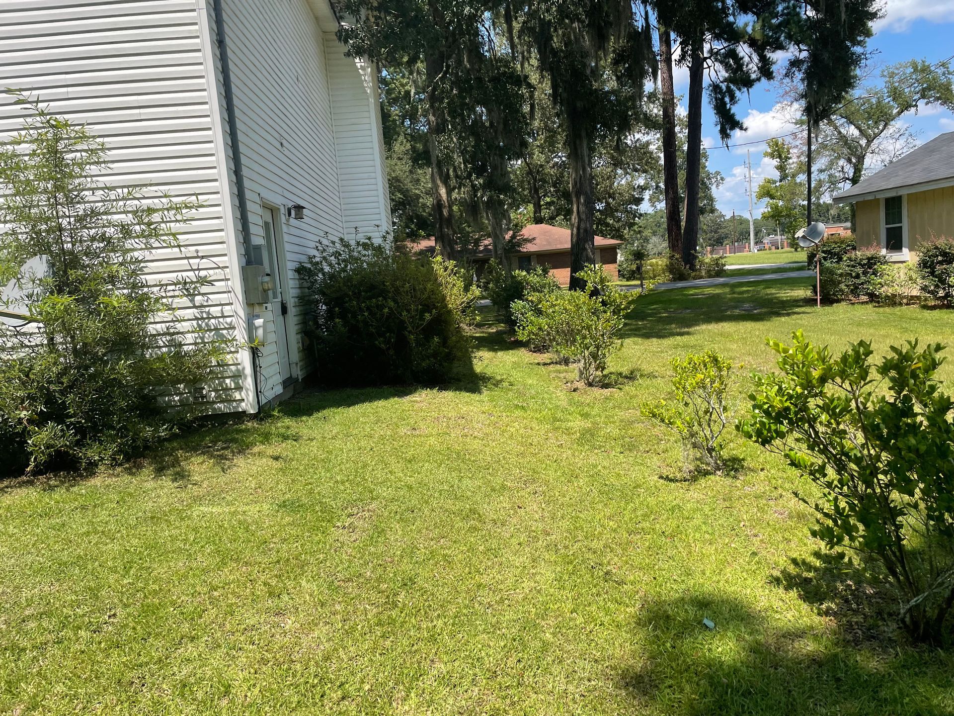 A house with a lot of grass and bushes in front of it.