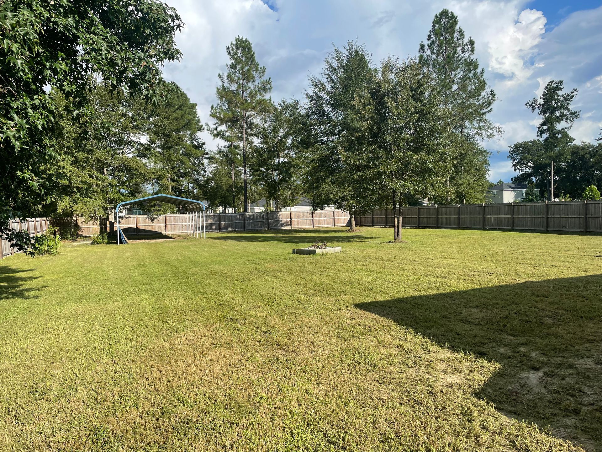 A large lawn with trees and a fence in the background.