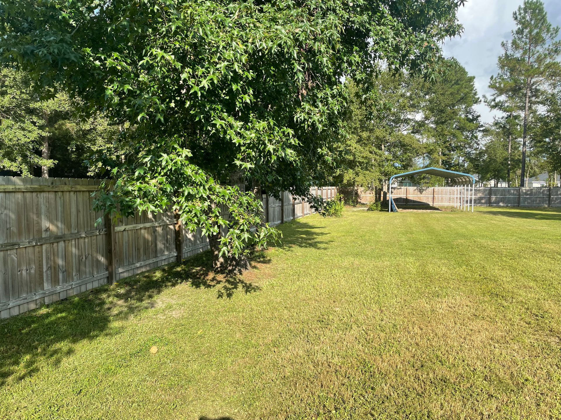 A large lawn with a wooden fence and trees in the background.