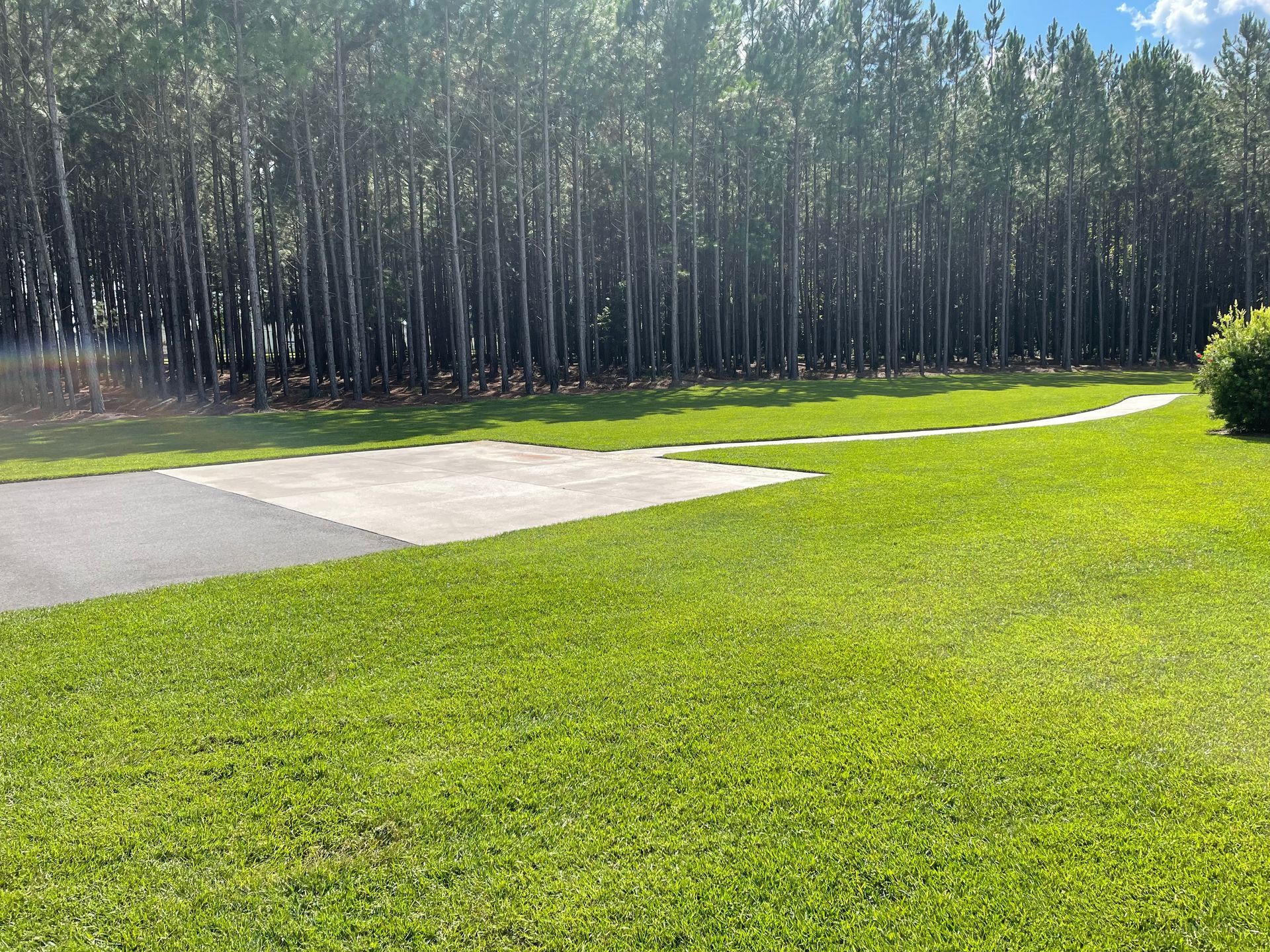 A large lush green field with trees in the background.