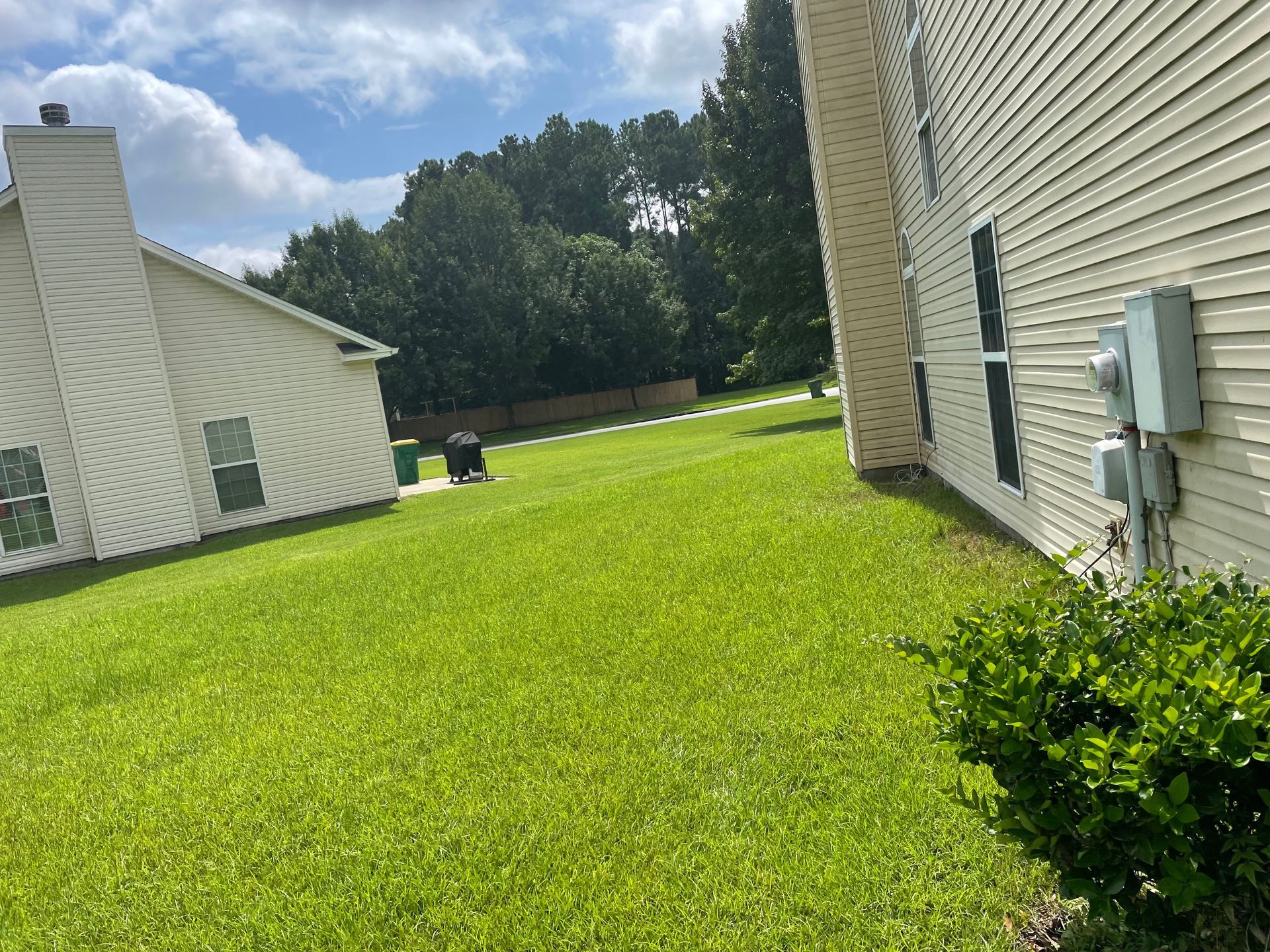 A lush green lawn in front of a house on a sunny day.