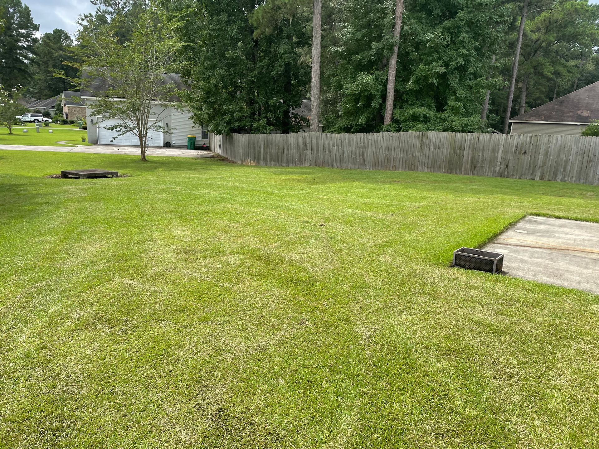A lush green lawn with a fence and a house in the background.