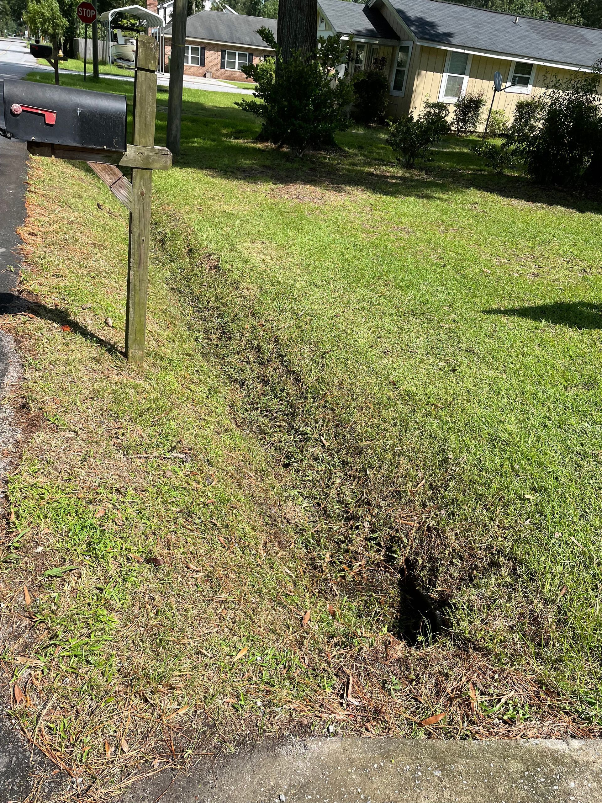 A mailbox is sitting in the middle of a lush green yard.