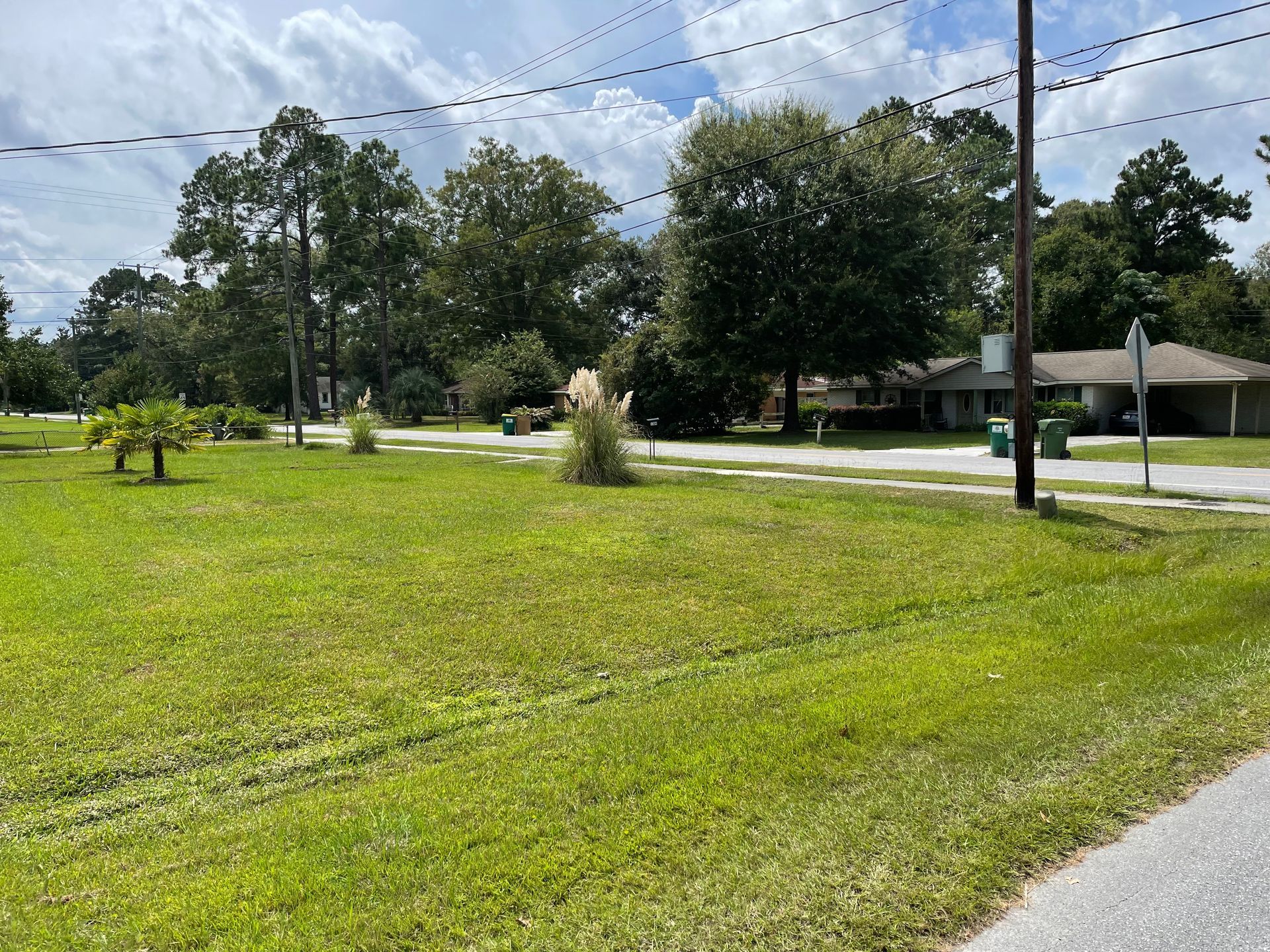 A lush green field with trees and a road in the background.