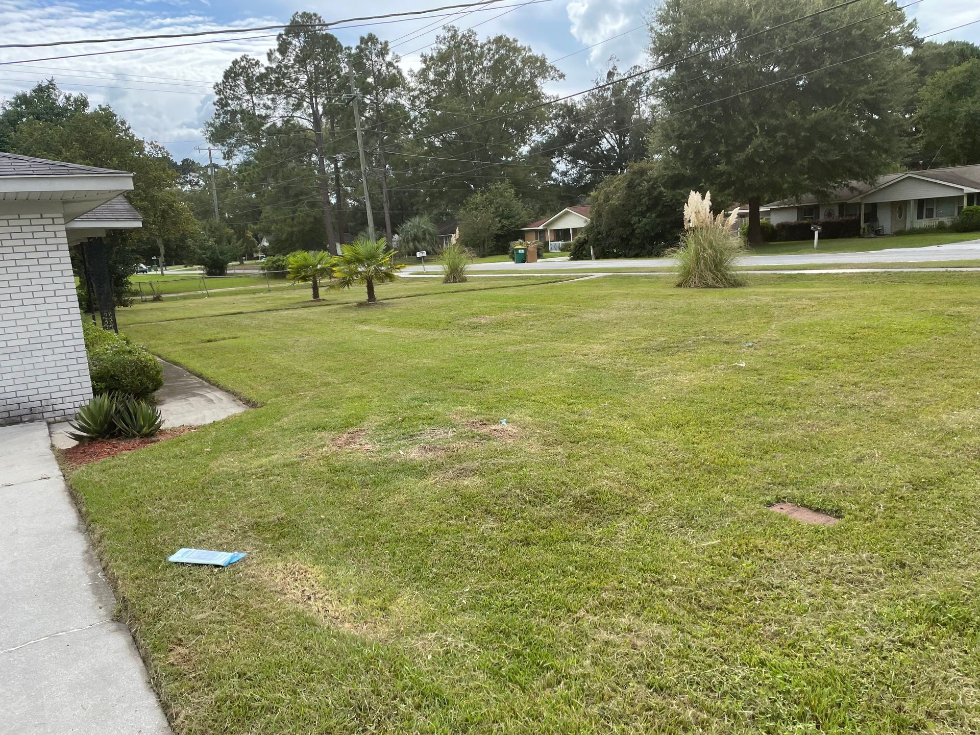 A lush green lawn is surrounded by trees and houses in a residential area.
