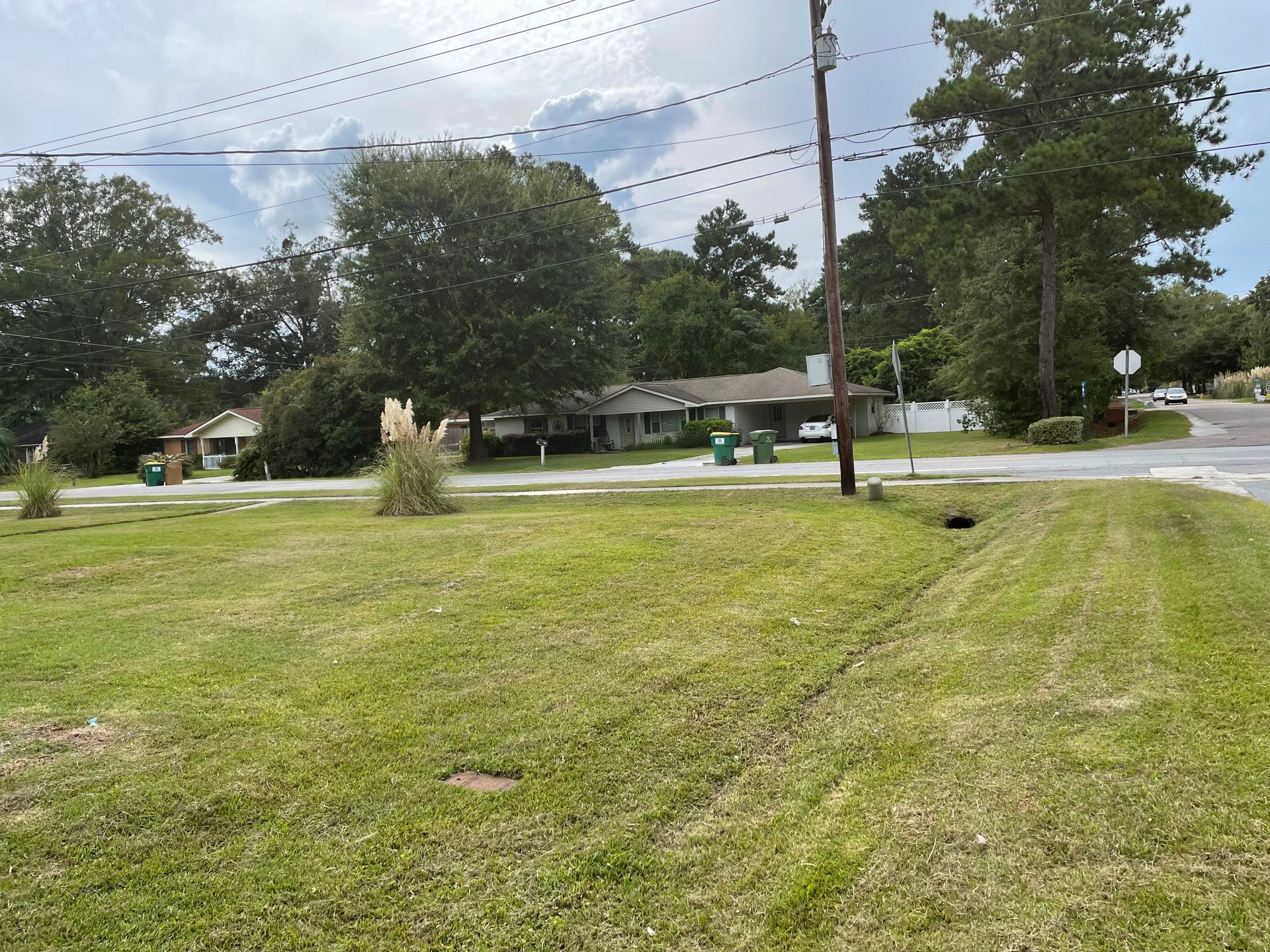 A residential area with a lot of grass and trees
