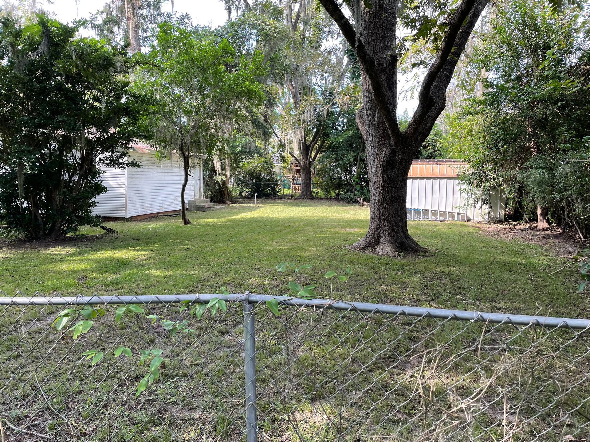 A backyard with a chain link fence and a tree in the middle of it.