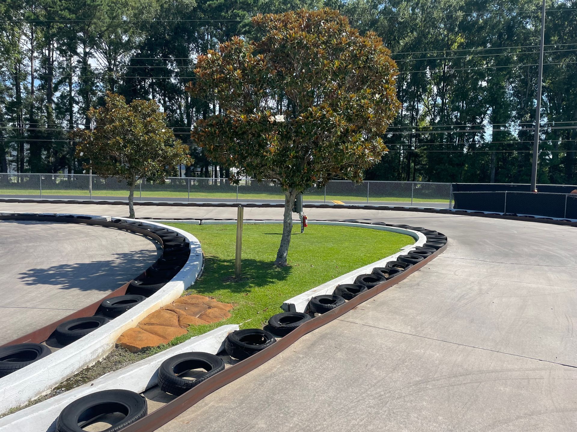 A race track with a tree in the middle of it