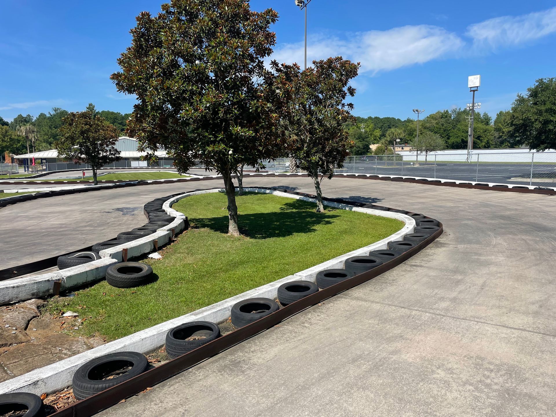 A go kart track with a tree in the middle of it