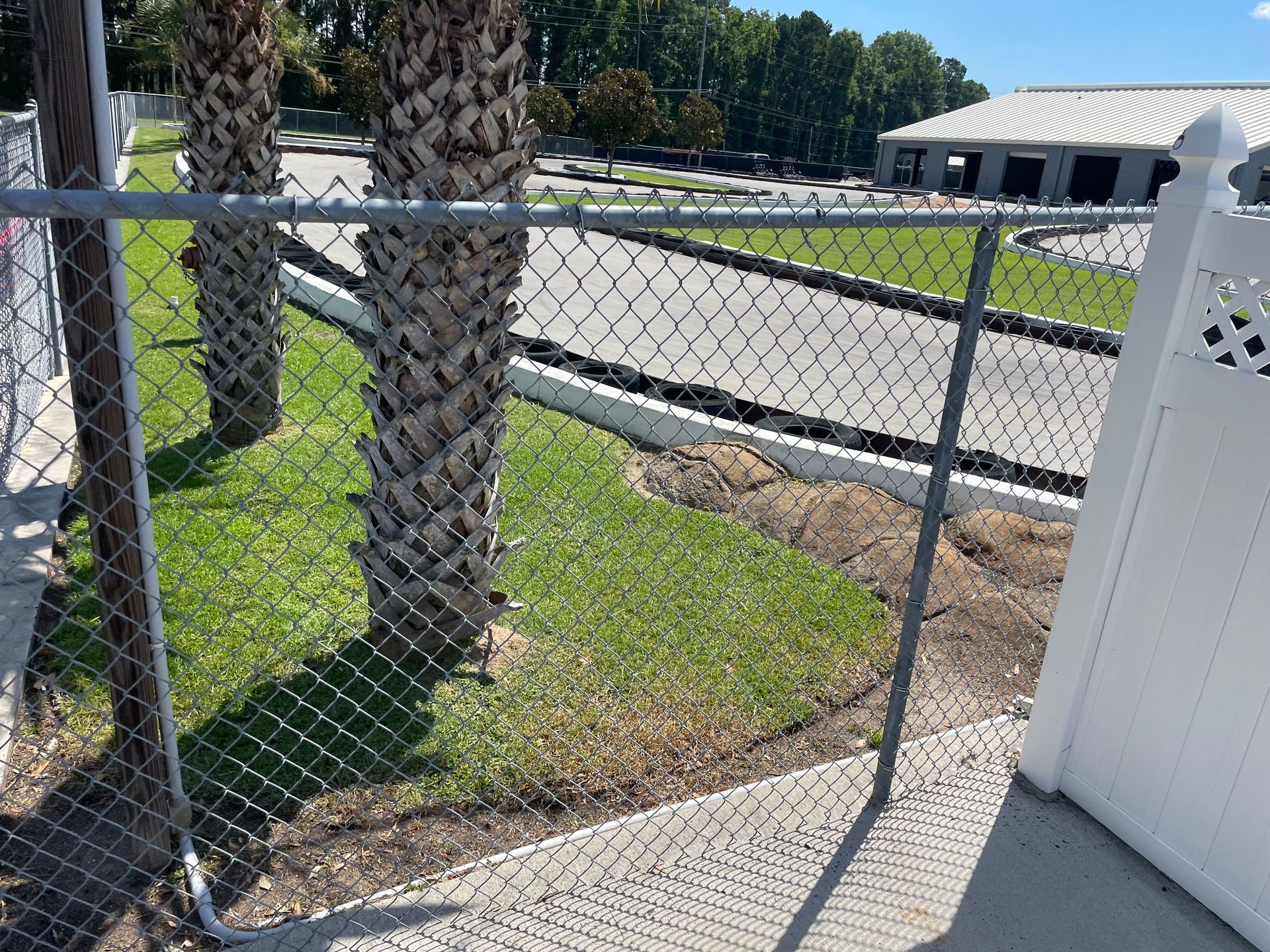 A chain link fence with palm trees in the background.