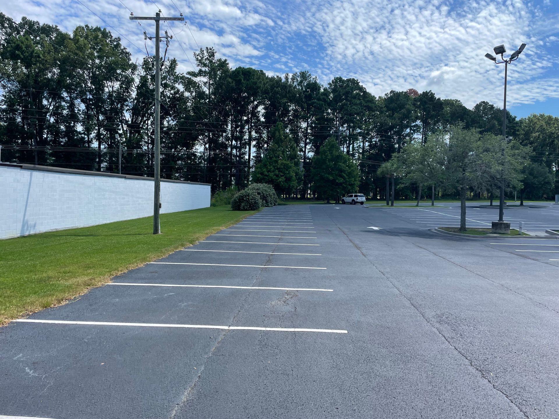An empty parking lot with trees in the background