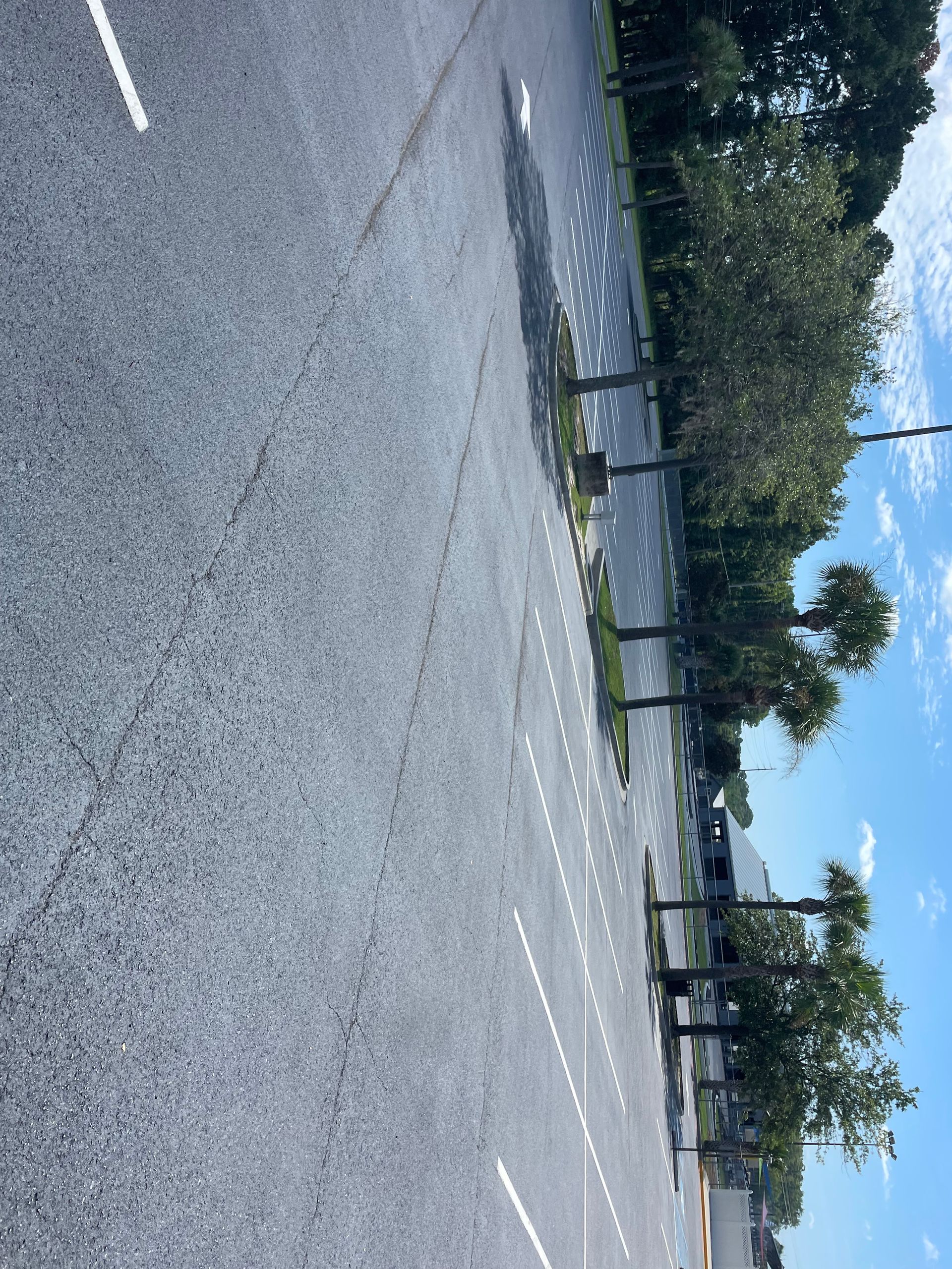 A parking lot with trees and a blue sky in the background