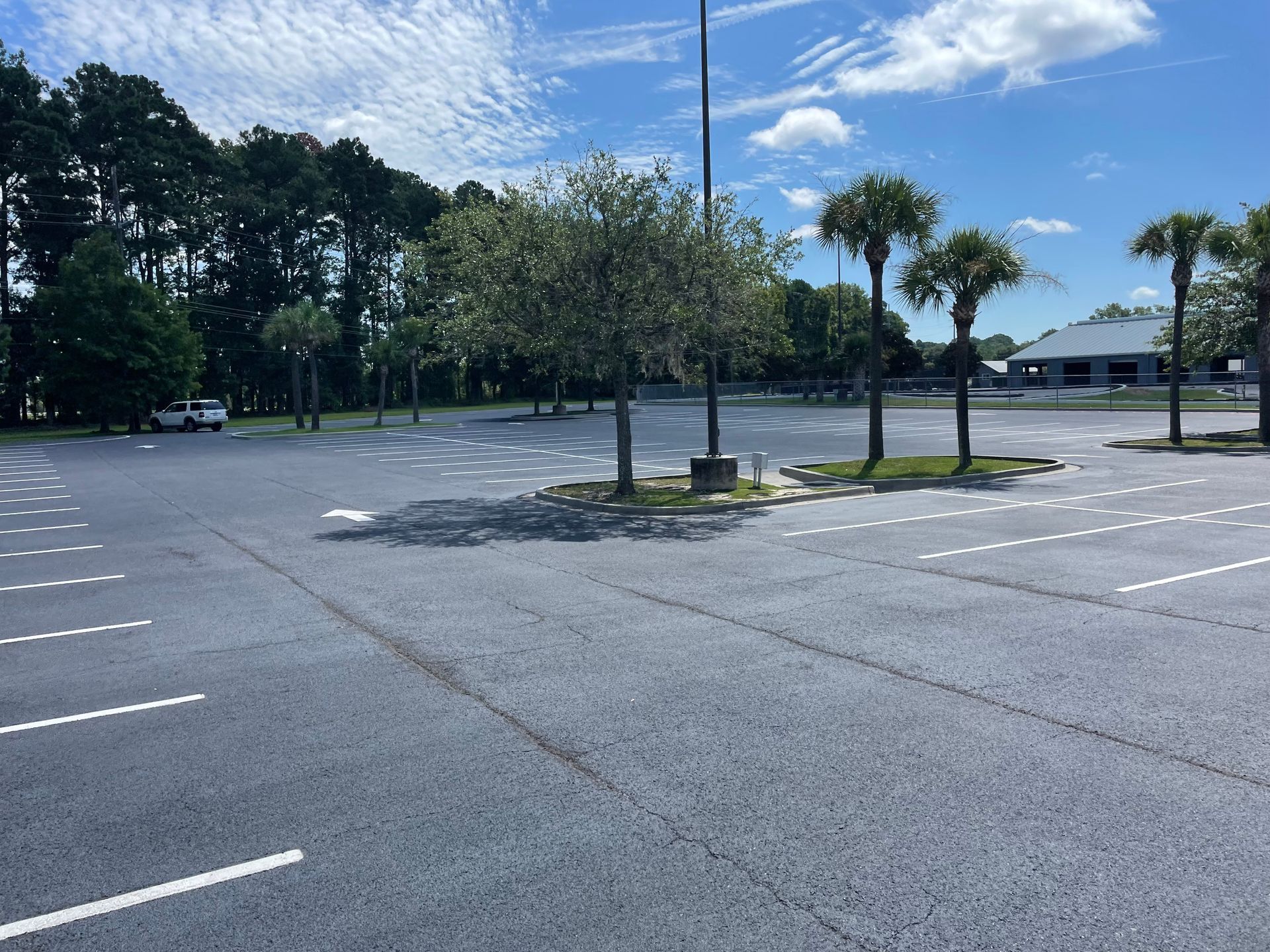 An empty parking lot with palm trees in the background