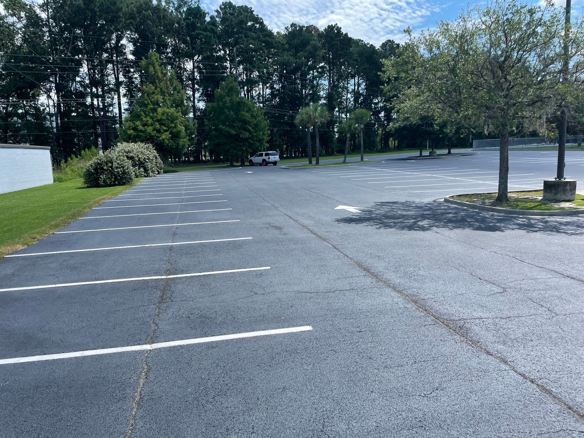 An empty parking lot with trees in the background