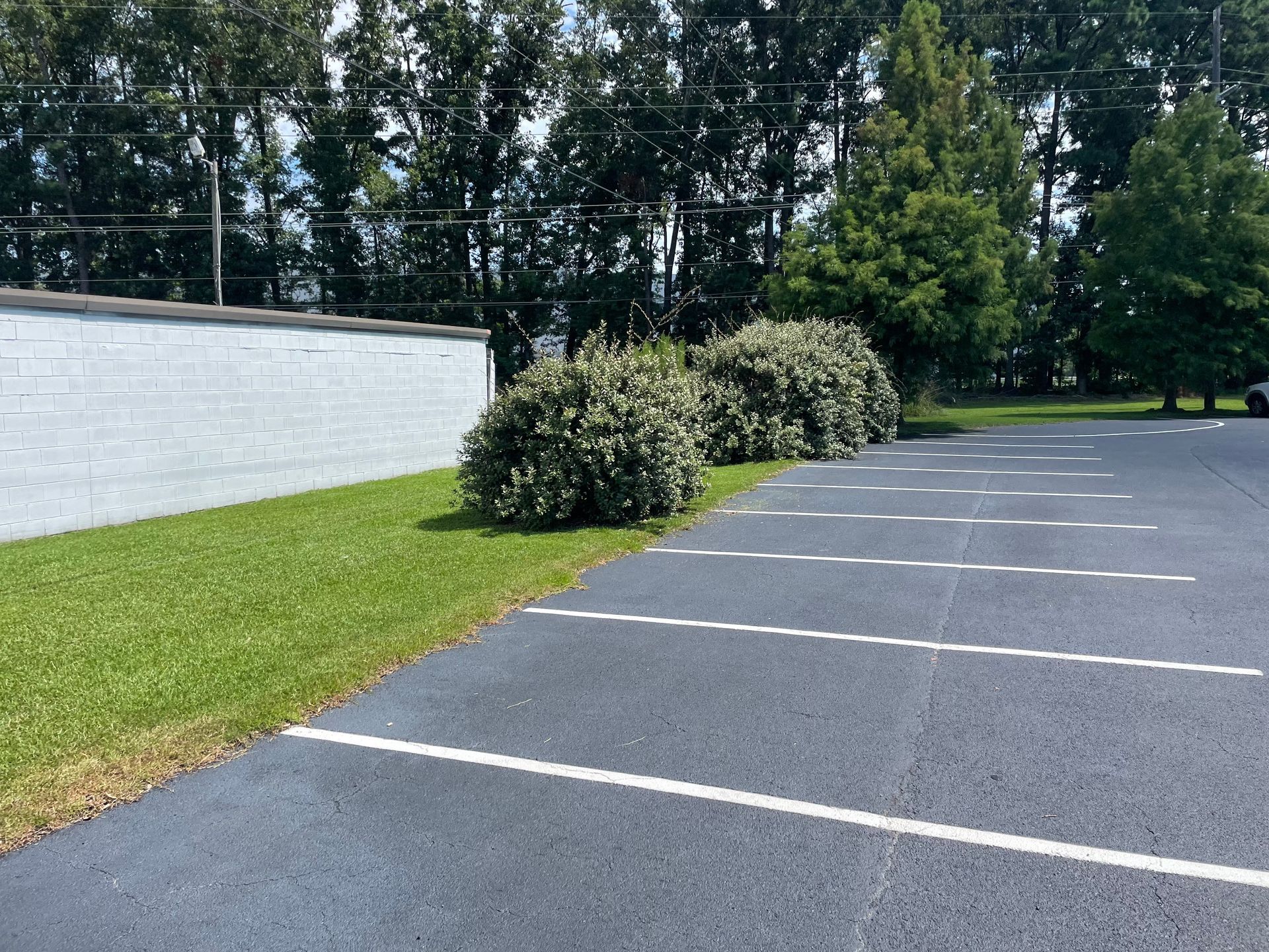 A row of parking spaces with trees in the background