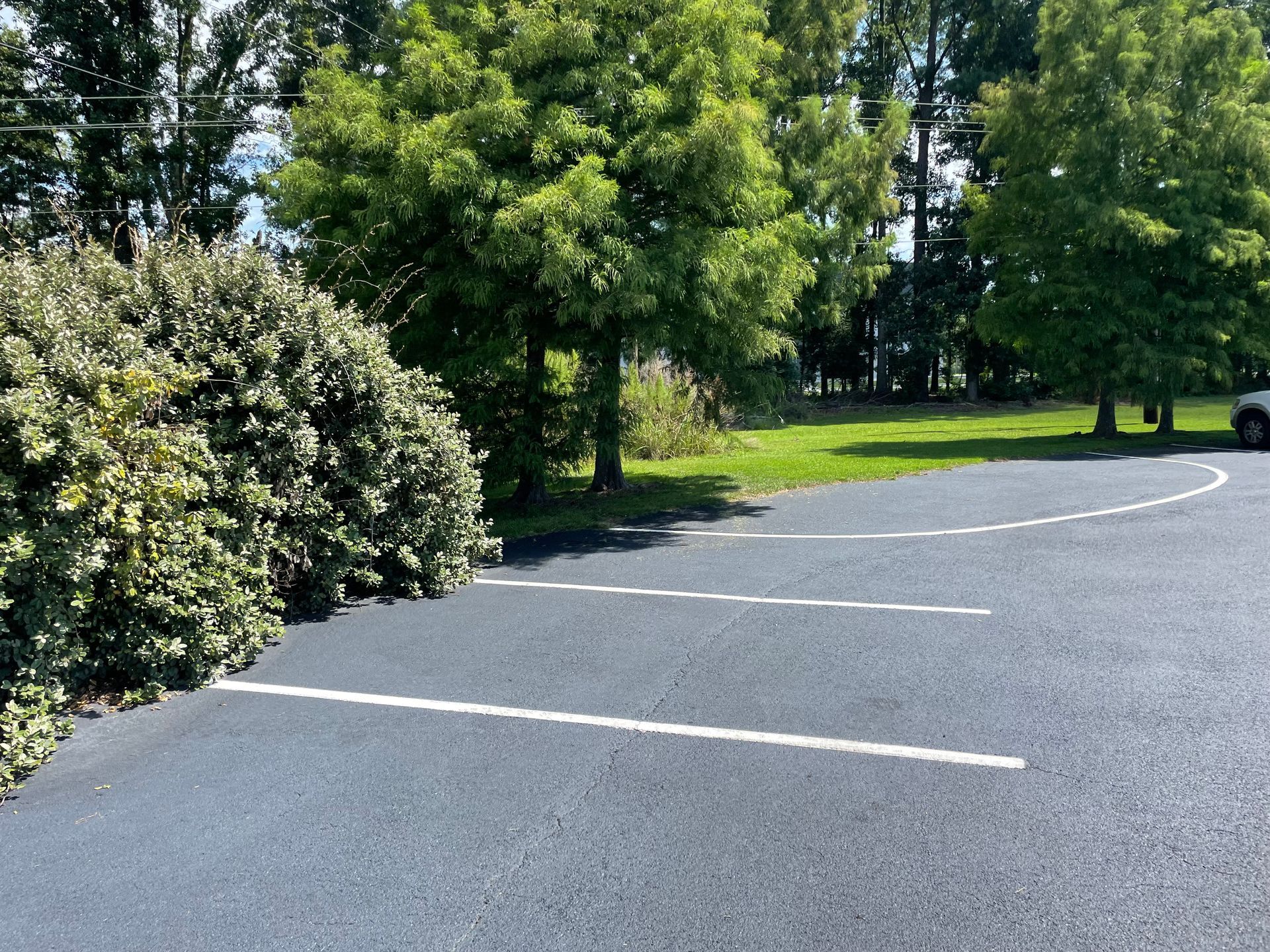 A parking lot with trees and bushes in the background