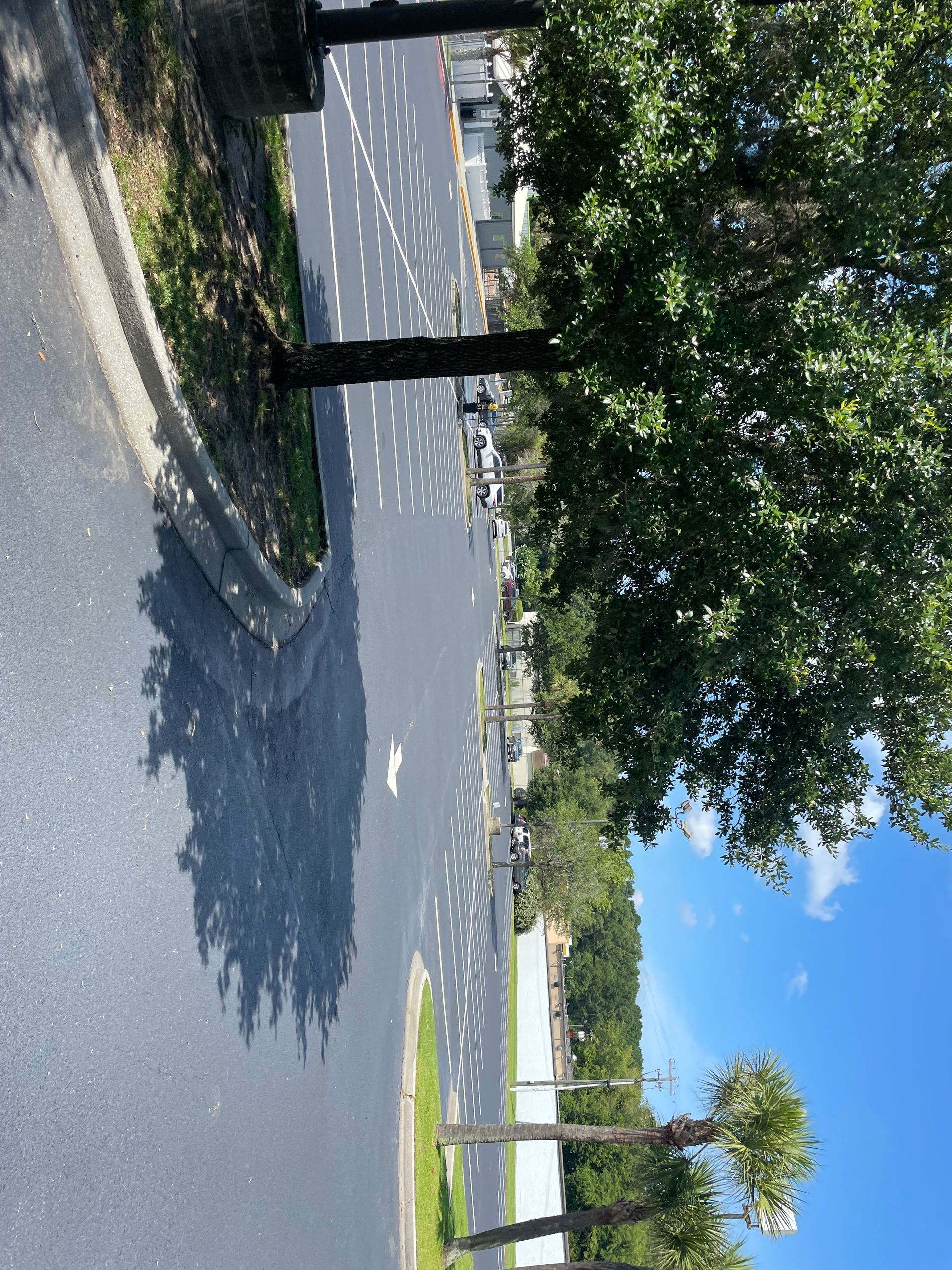 A road with trees on the side of it and a blue sky