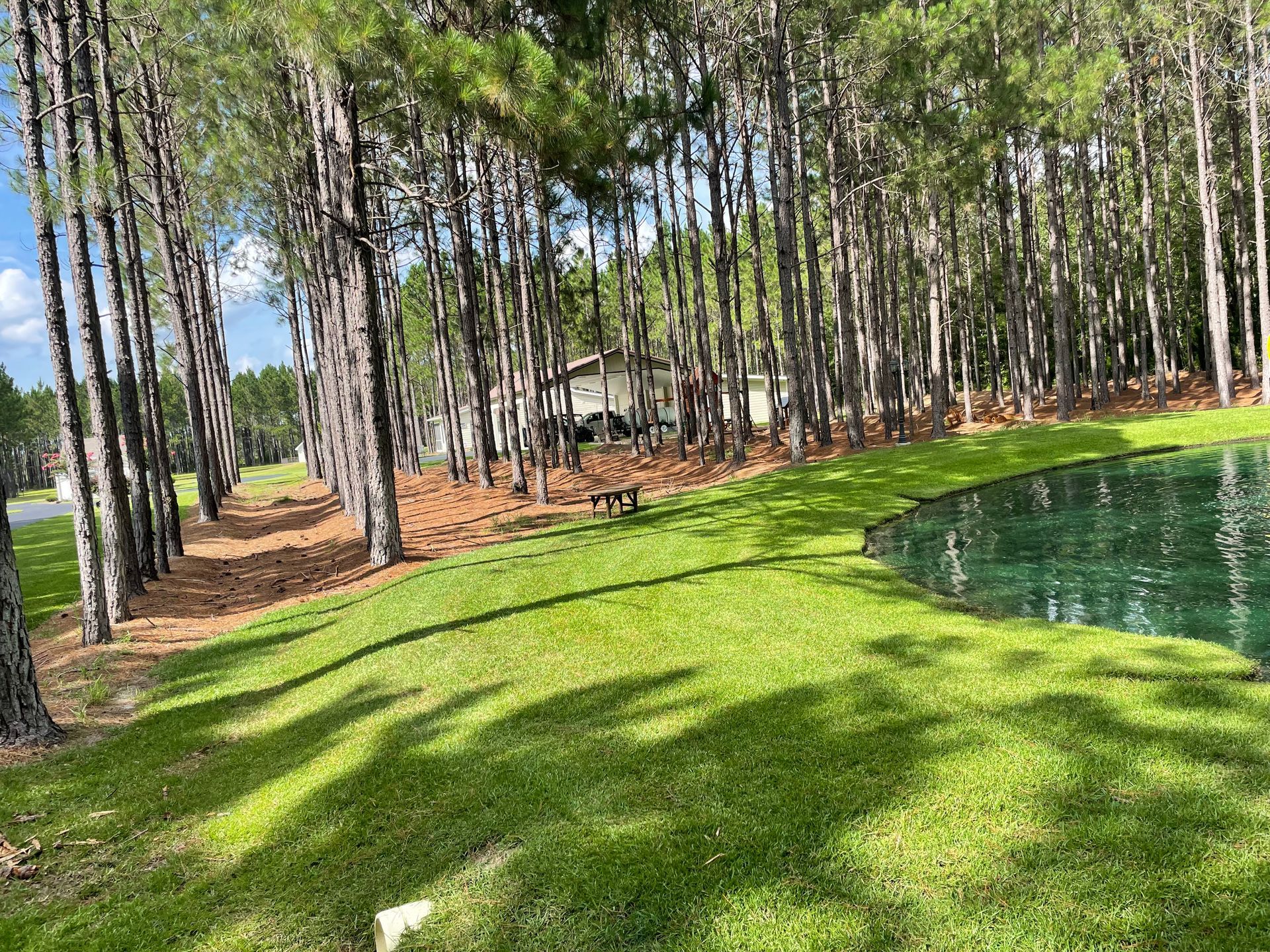 There is a pond in the middle of the woods.