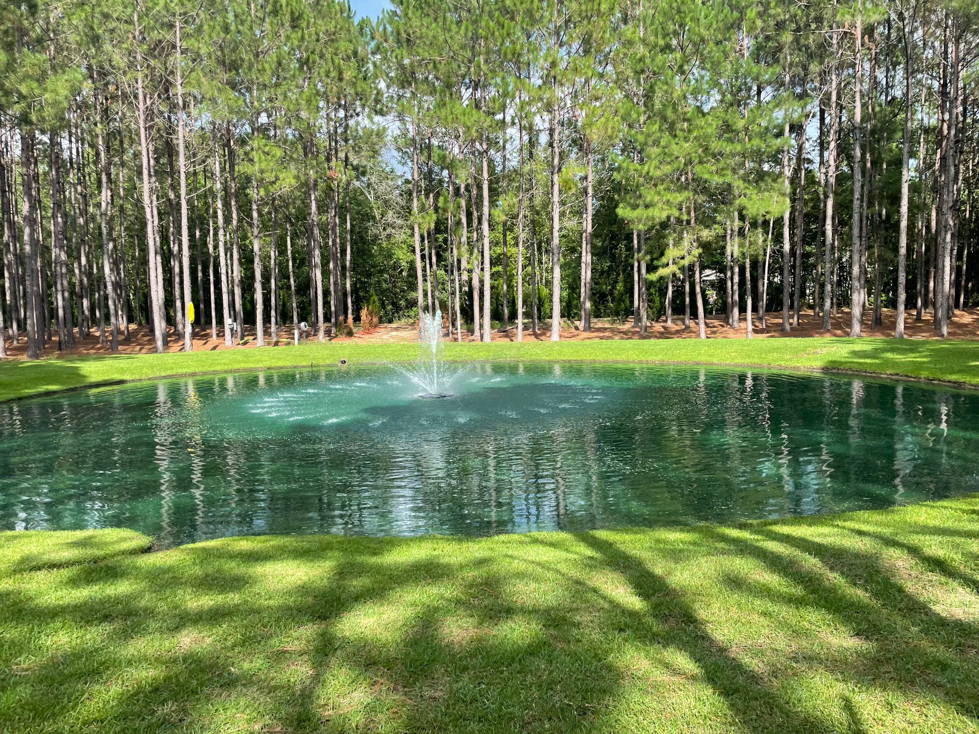 A pond with a fountain in the middle of it surrounded by trees.