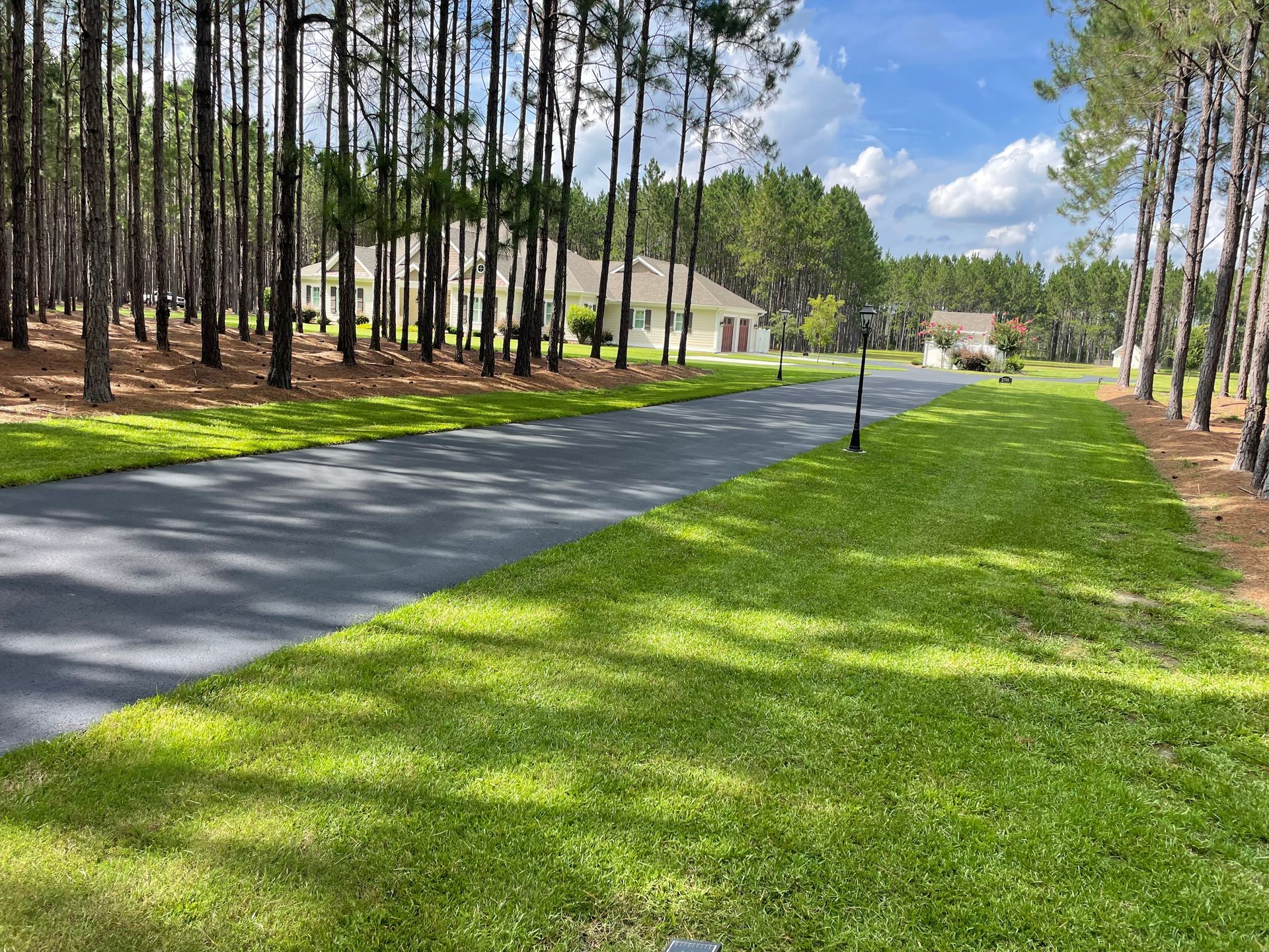 A driveway leading to a house in the middle of a forest.