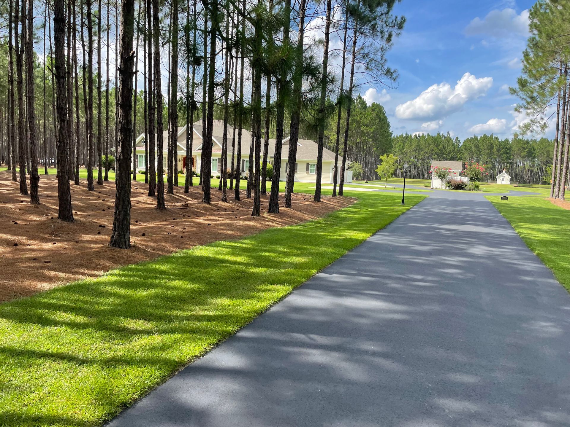 A driveway leading to a house in the woods