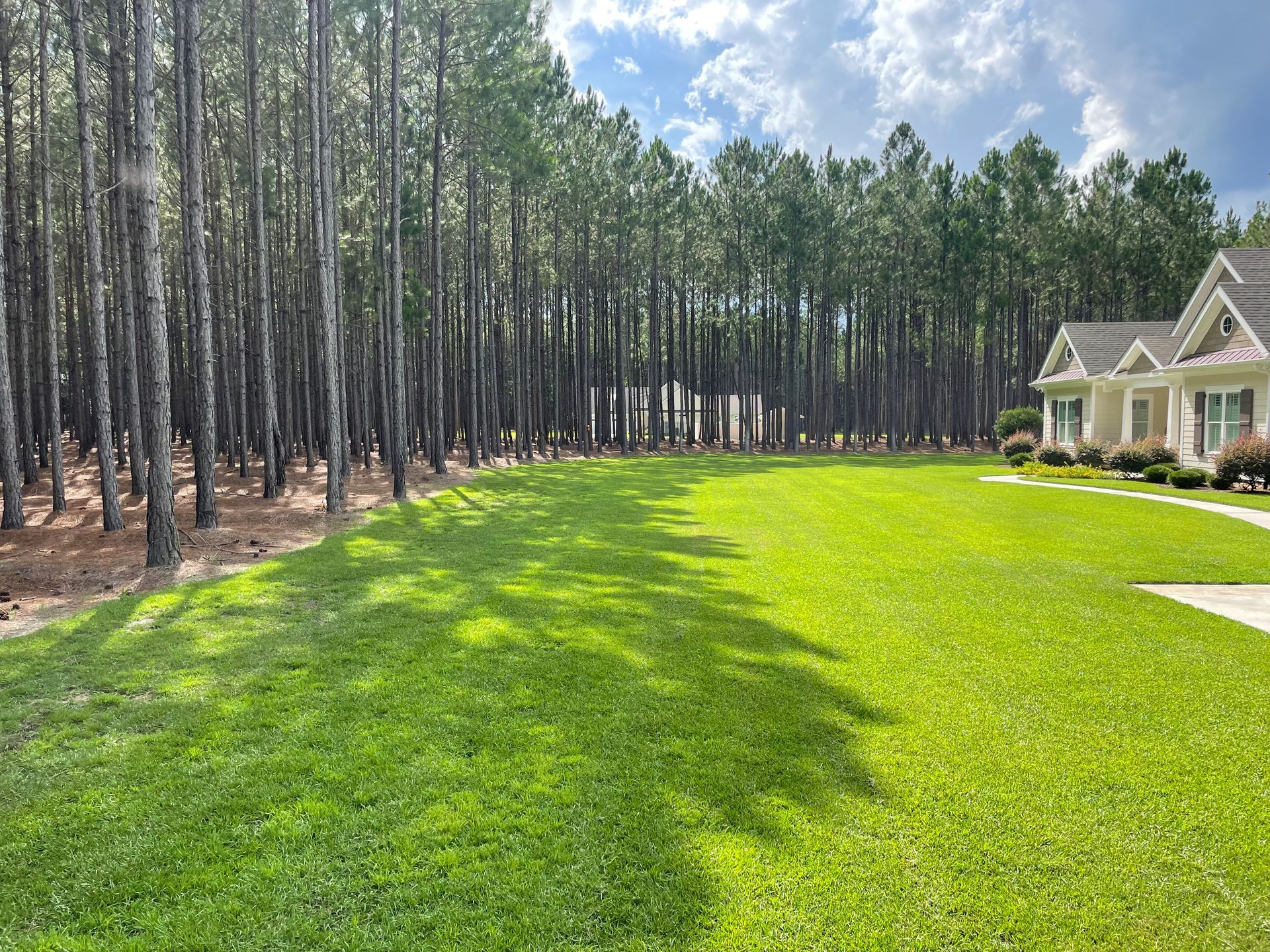 A house with a lush green lawn in front of a forest.