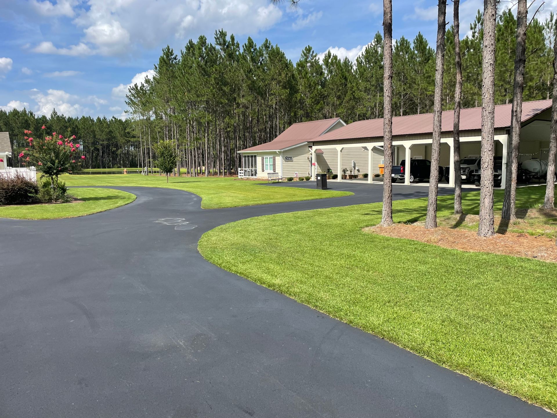 A driveway leading to a house surrounded by trees