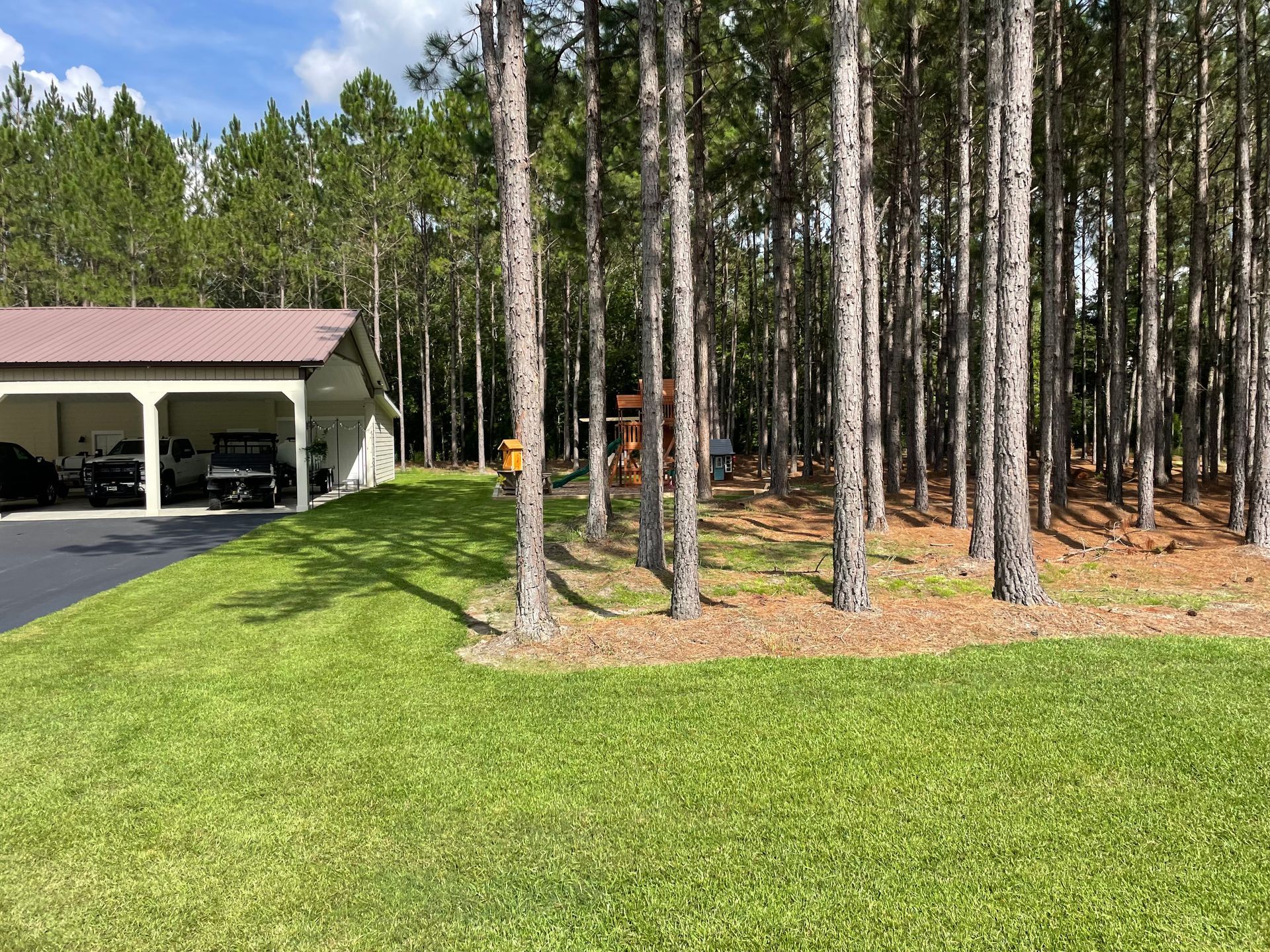 A garage with cars parked underneath it in the middle of a forest.