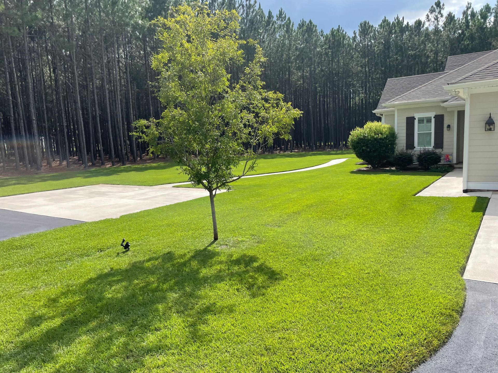 A house with a lush green lawn and a tree in front of it