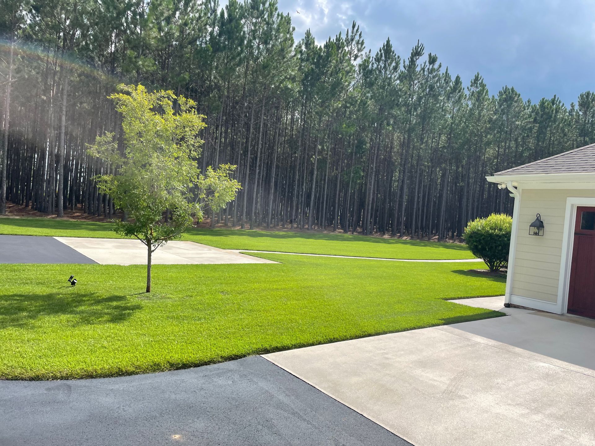 A driveway leading to a house with trees in the background