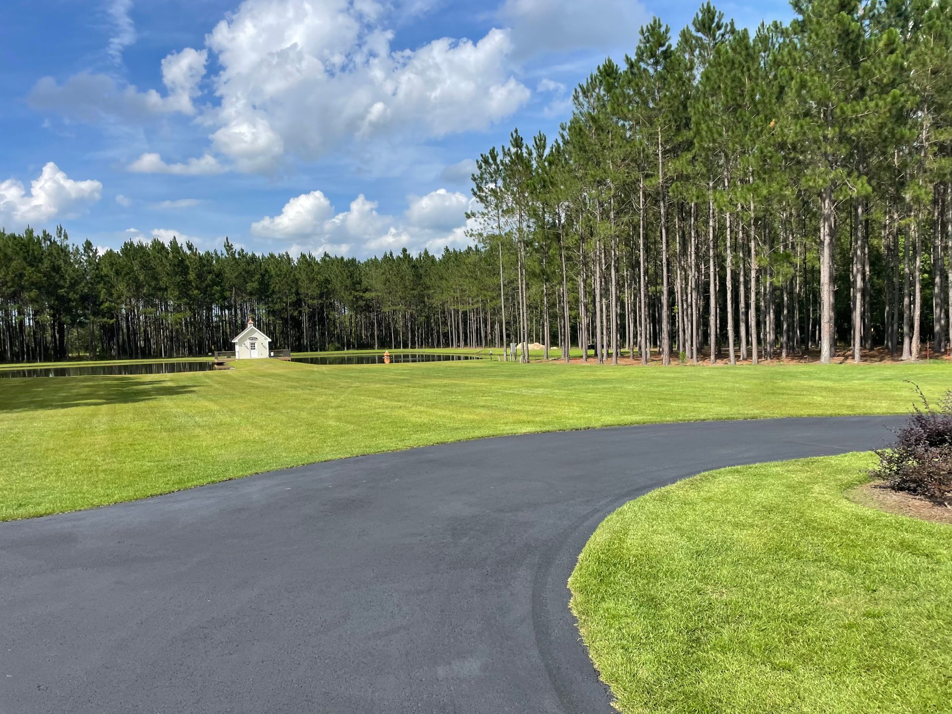 A road going through a grassy field with trees in the background.