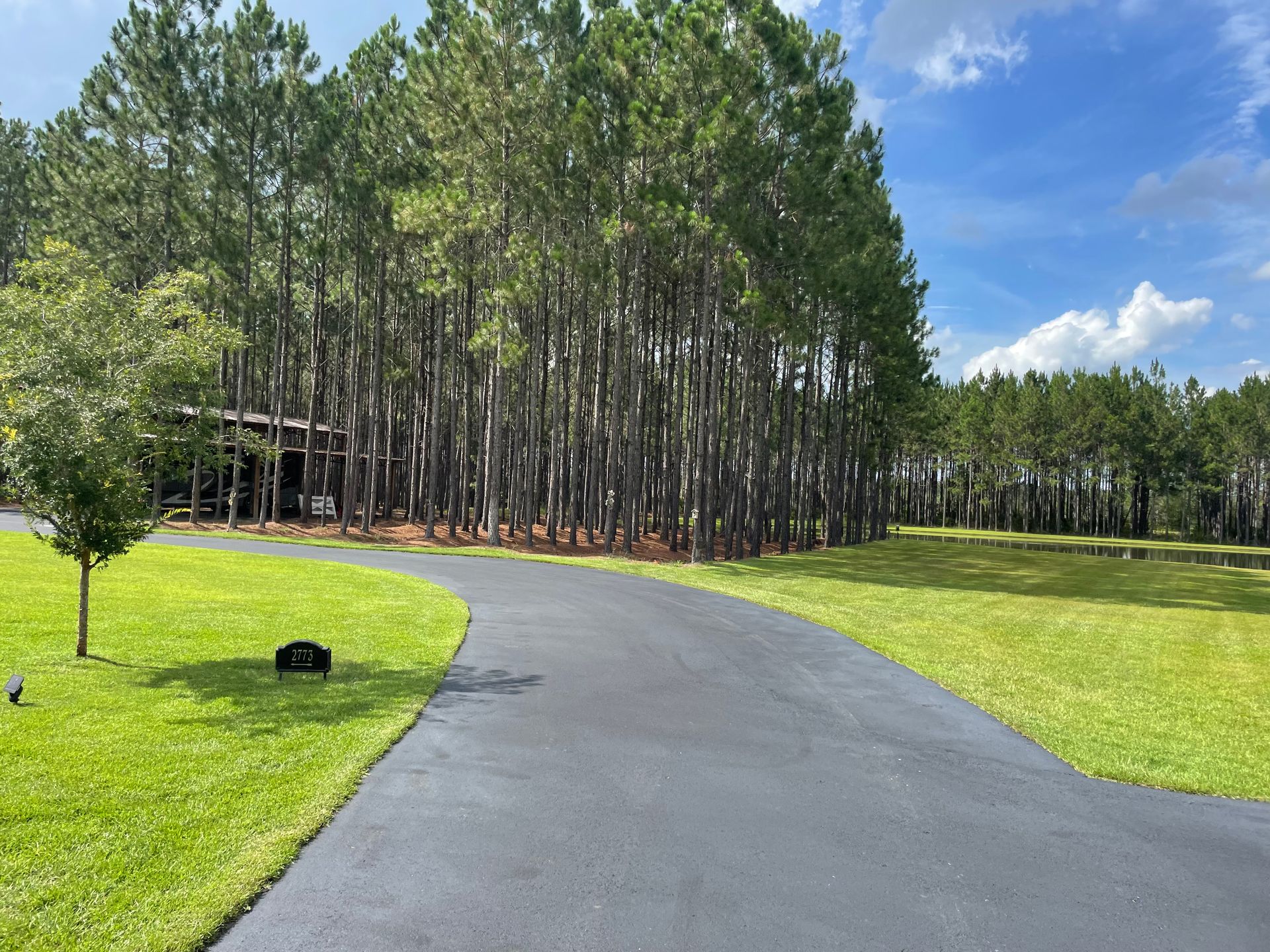 A road going through a lush green field with trees on both sides.