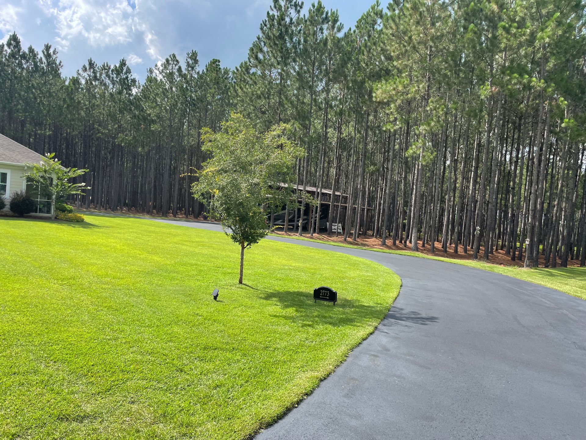 A driveway leading to a house surrounded by trees and grass.