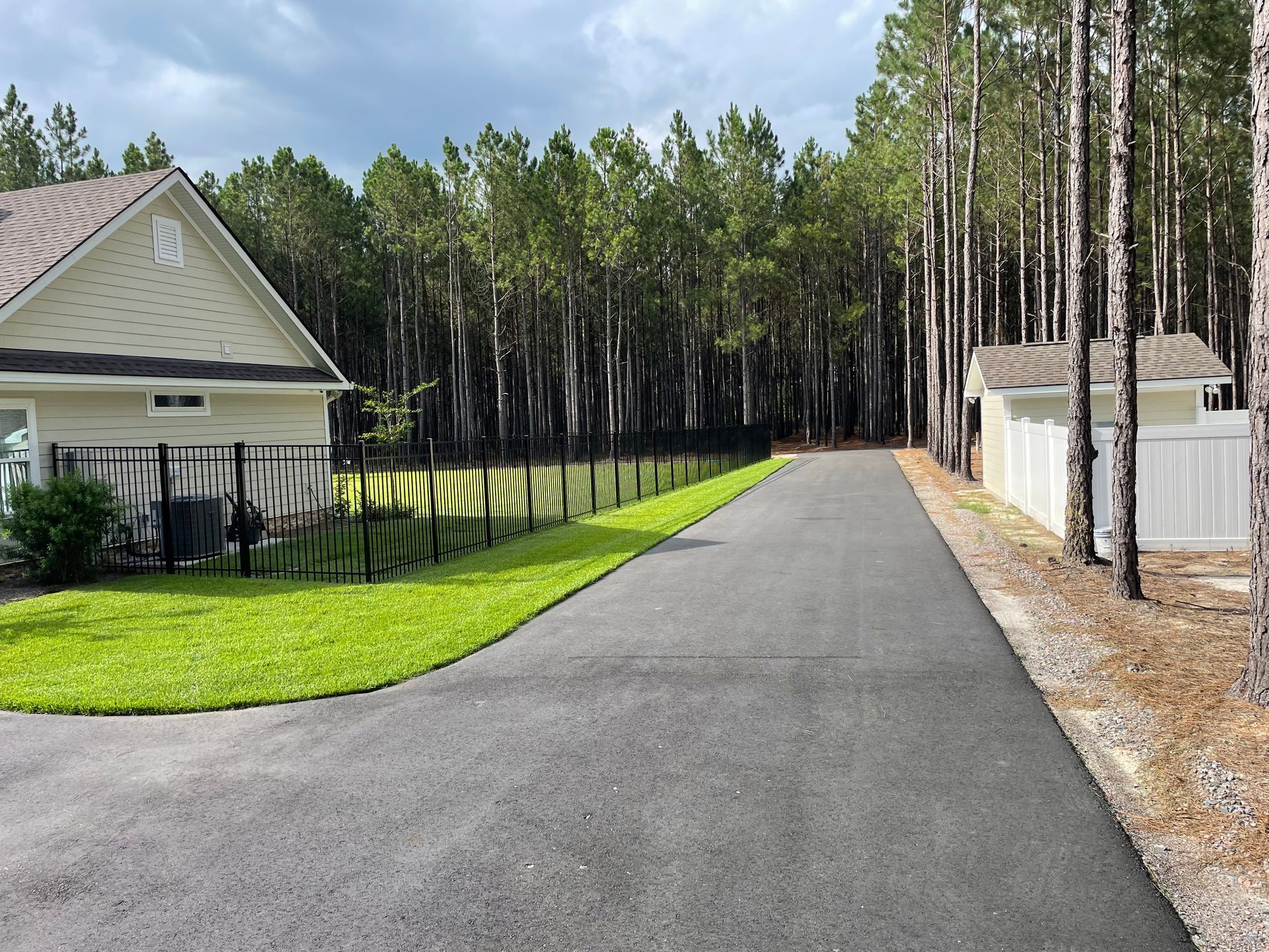 A driveway leading to a house surrounded by trees