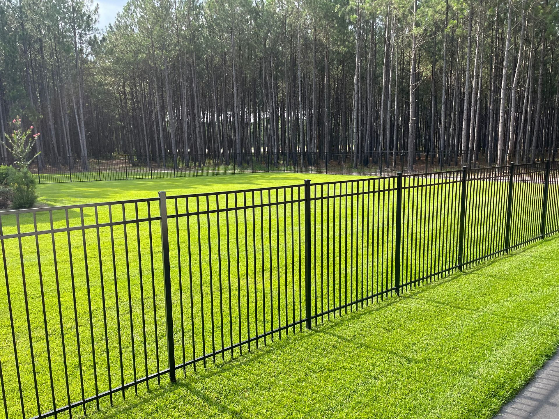 A black metal fence surrounds a lush green field with trees in the background.