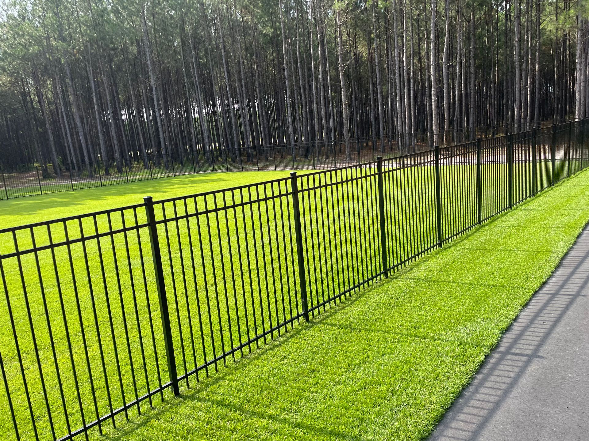 A black fence surrounds a lush green field with trees in the background.