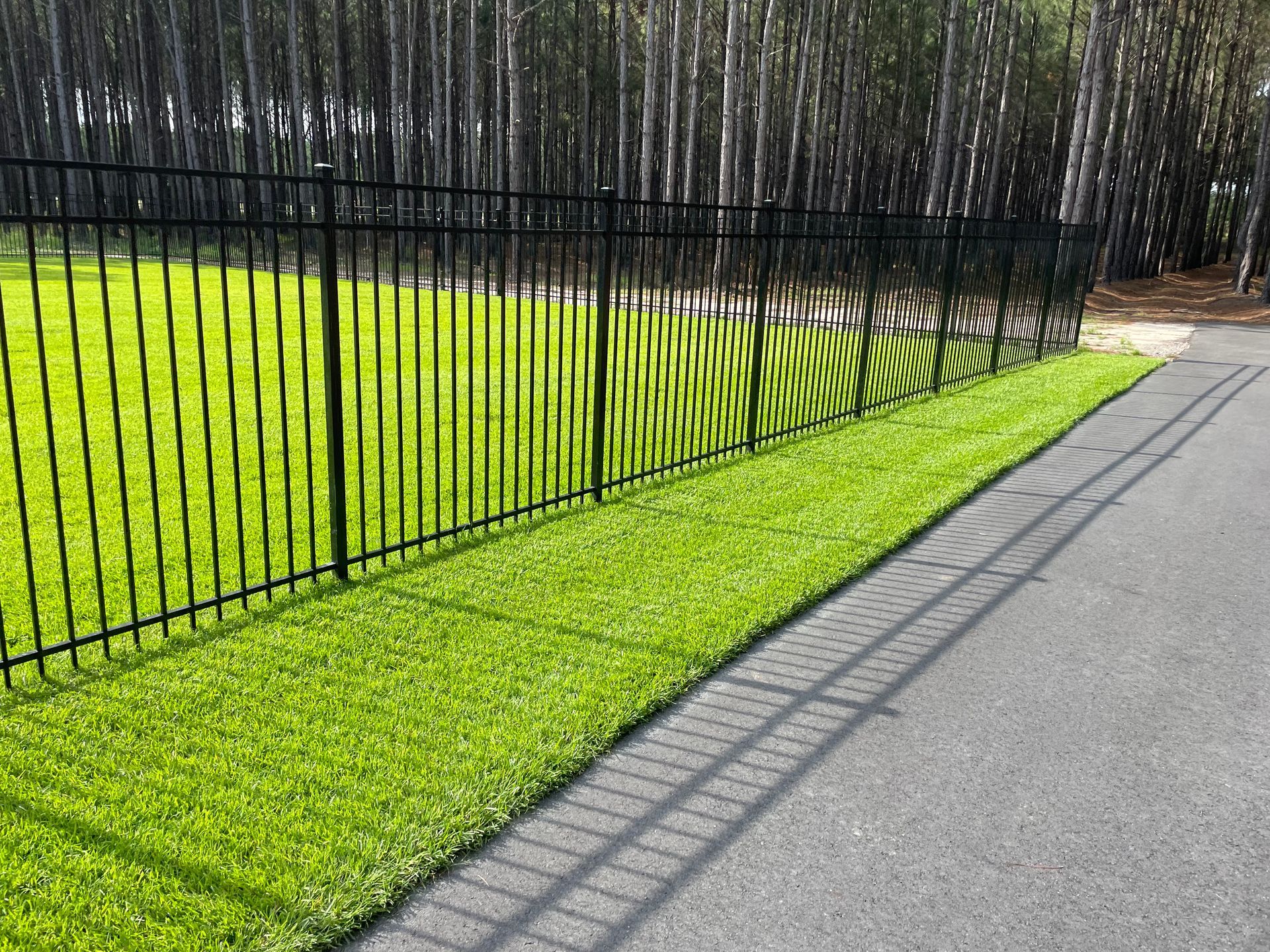 A black metal fence surrounds a lush green field.
