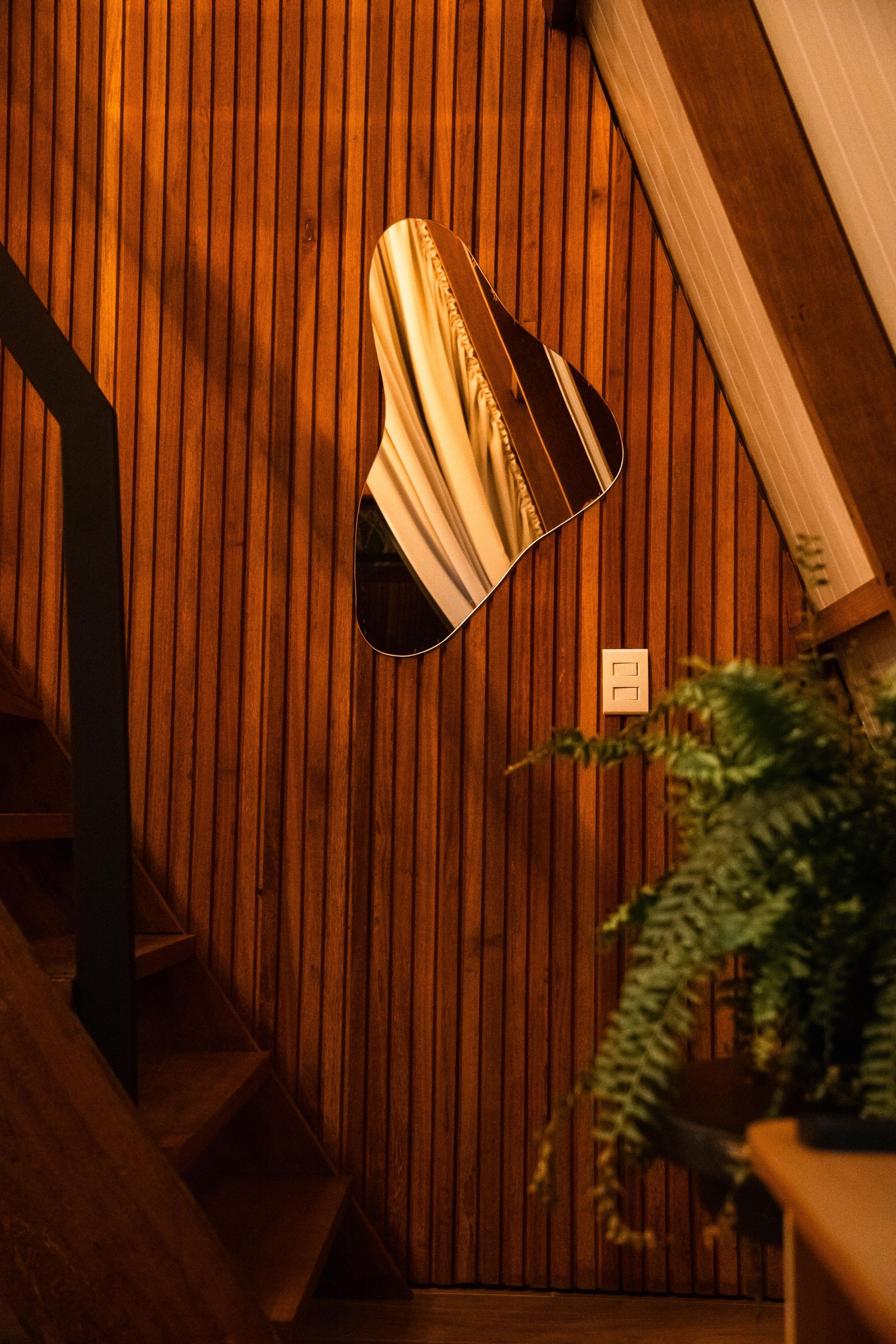 Parede de madeira com um espelho e uma planta. Chalé Mont Hermon.