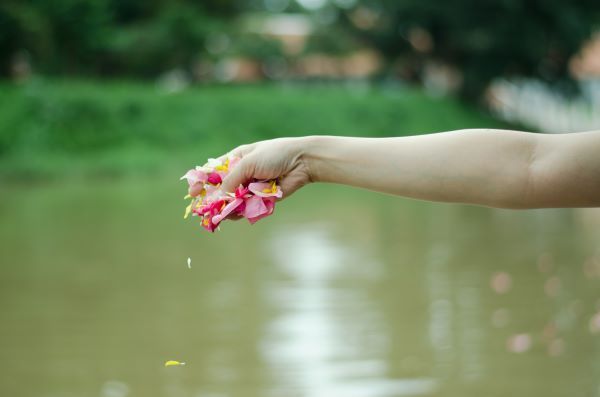 Scattering of the Cremated Remains