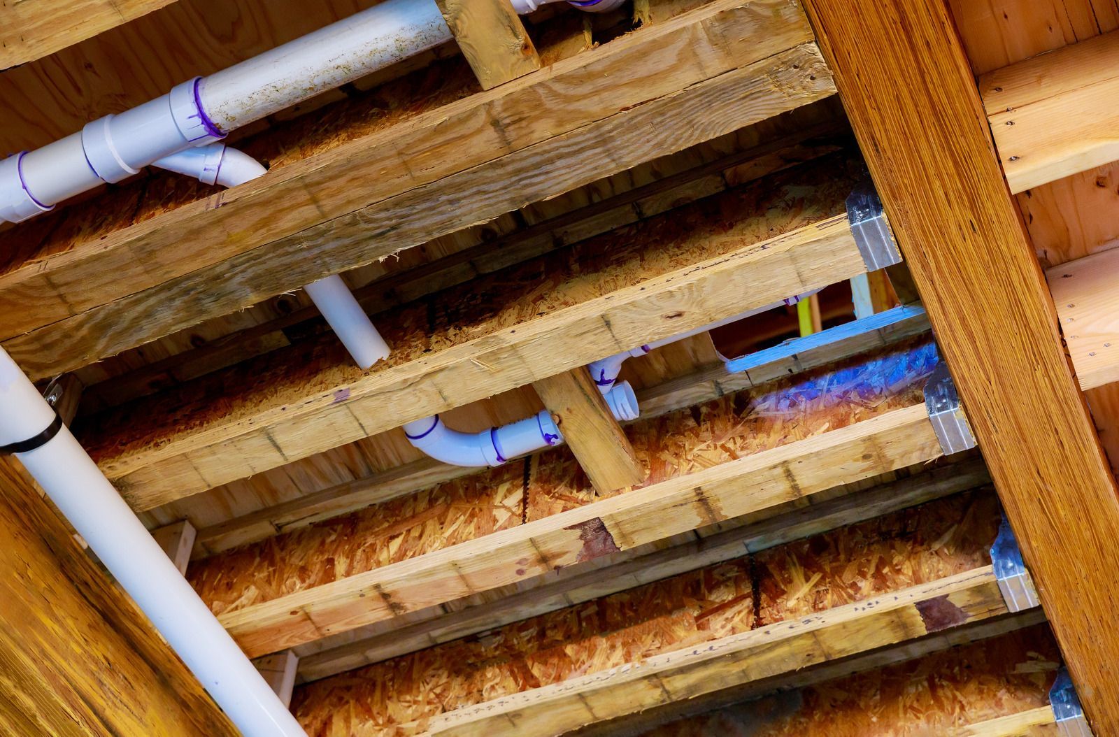 View from below of plumbing pipes installed between wooden joists in a basement ceiling.