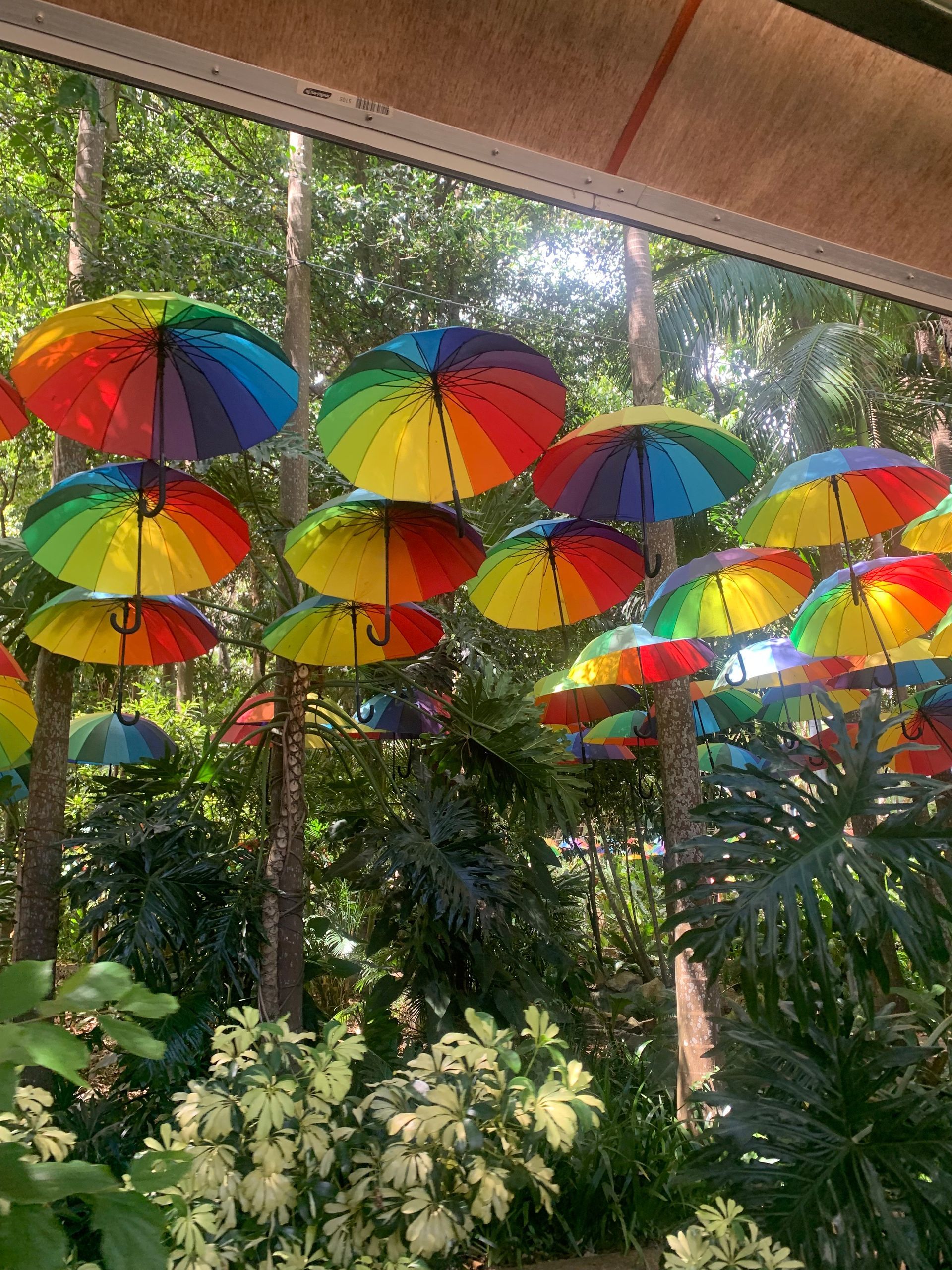 A Bunch Of Colorful Umbrellas Are Hanging From A Tree In The Woods — My Energetic Craft In Morisset, NSW
