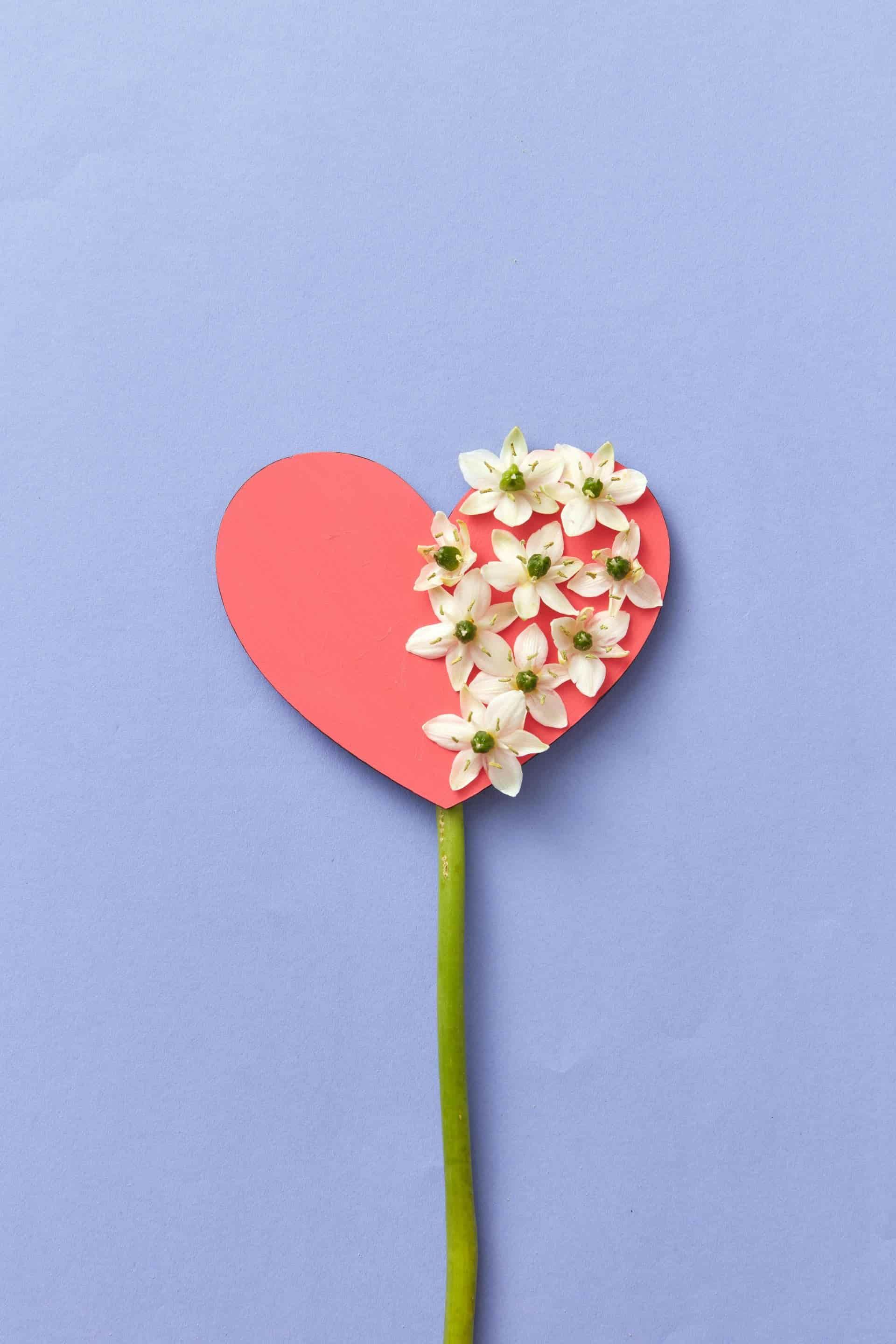 A Red Heart With White Flowers On A Blue Background — My Energetic Craft In Morisset, NSW 