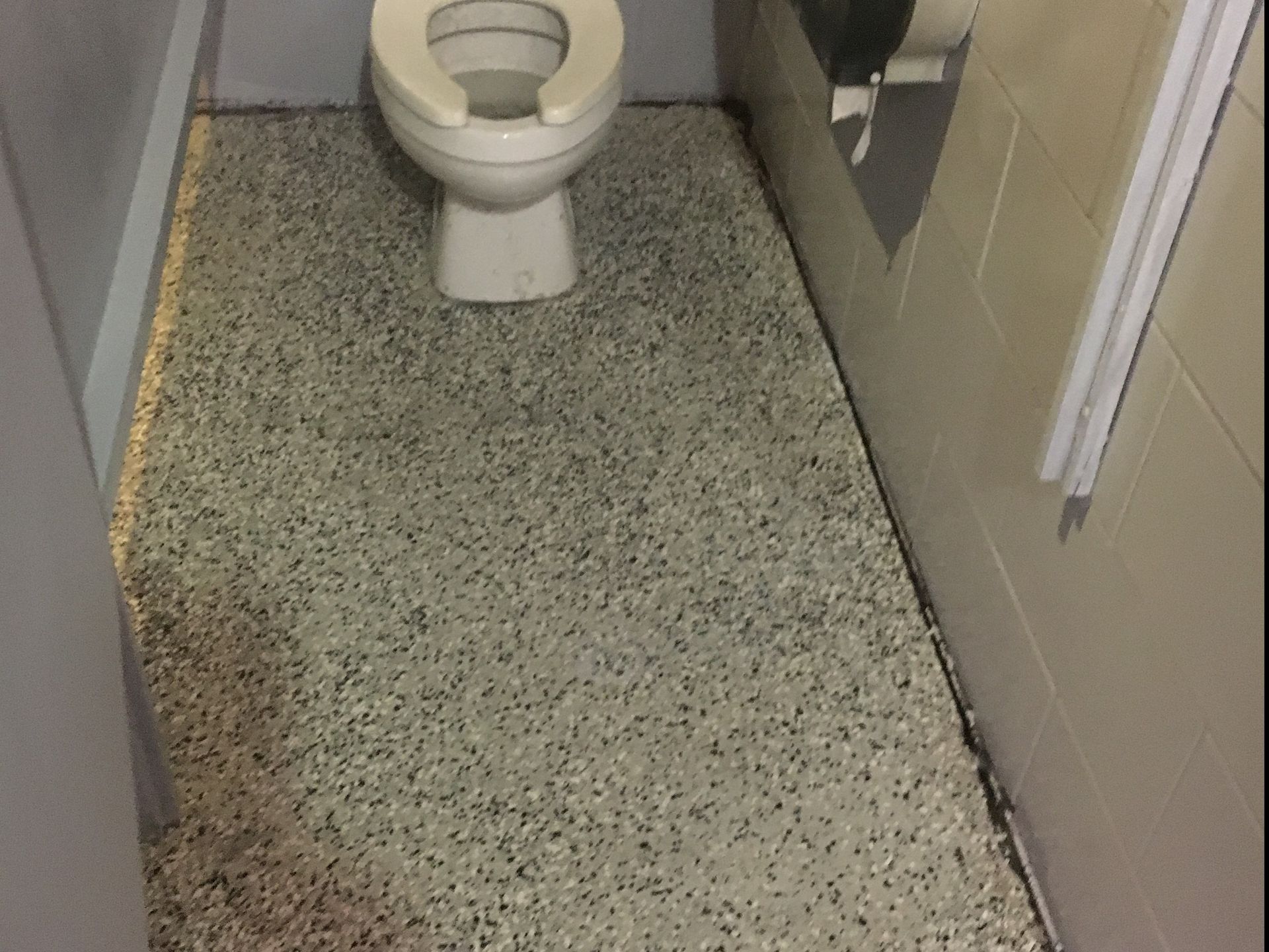 Bathroom floor covered in small, speckled chips. Toilet and wall-mounted paper towel dispenser visible.