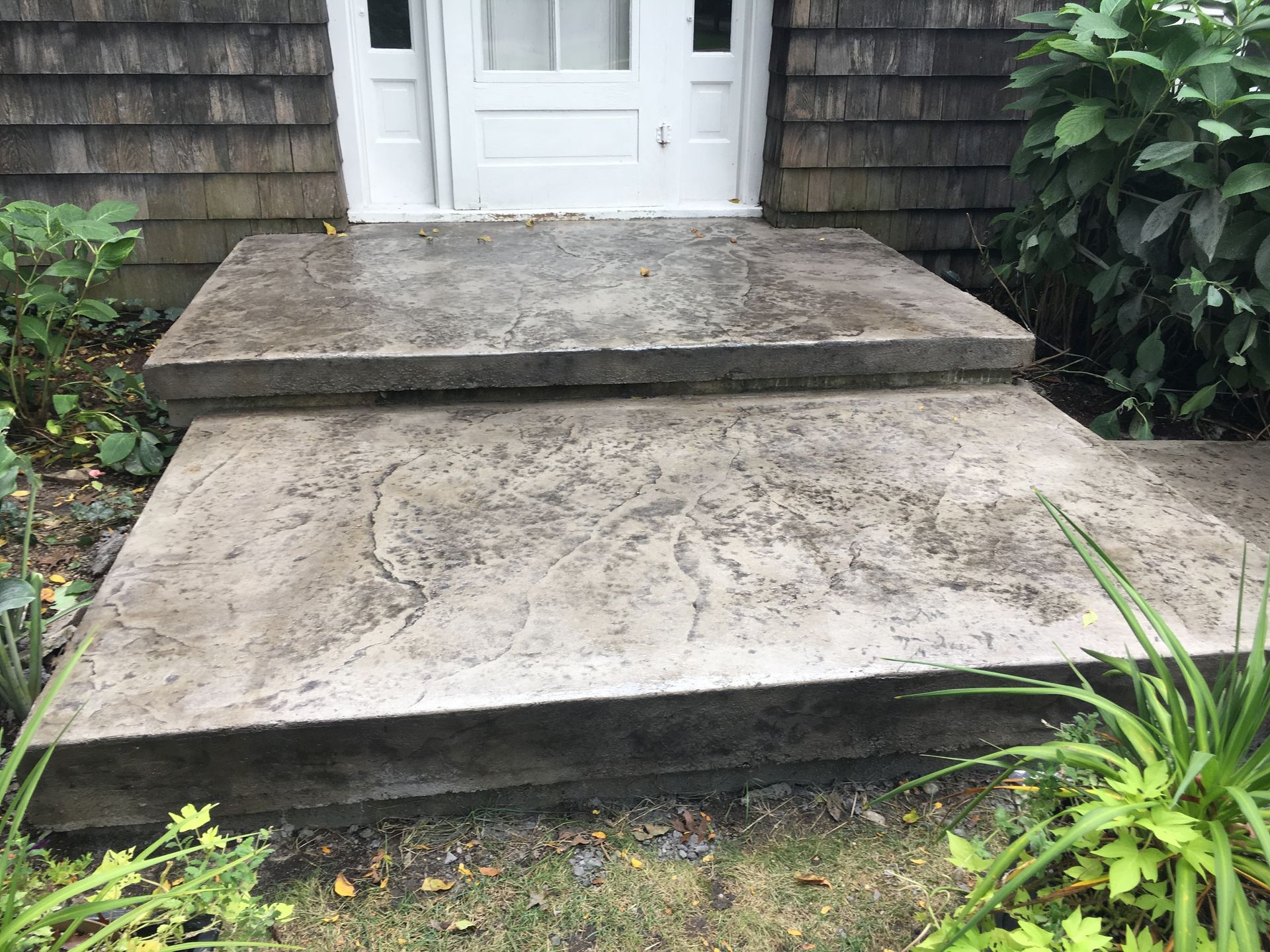 Two weathered concrete steps leading to a white door; surrounded by greenery.