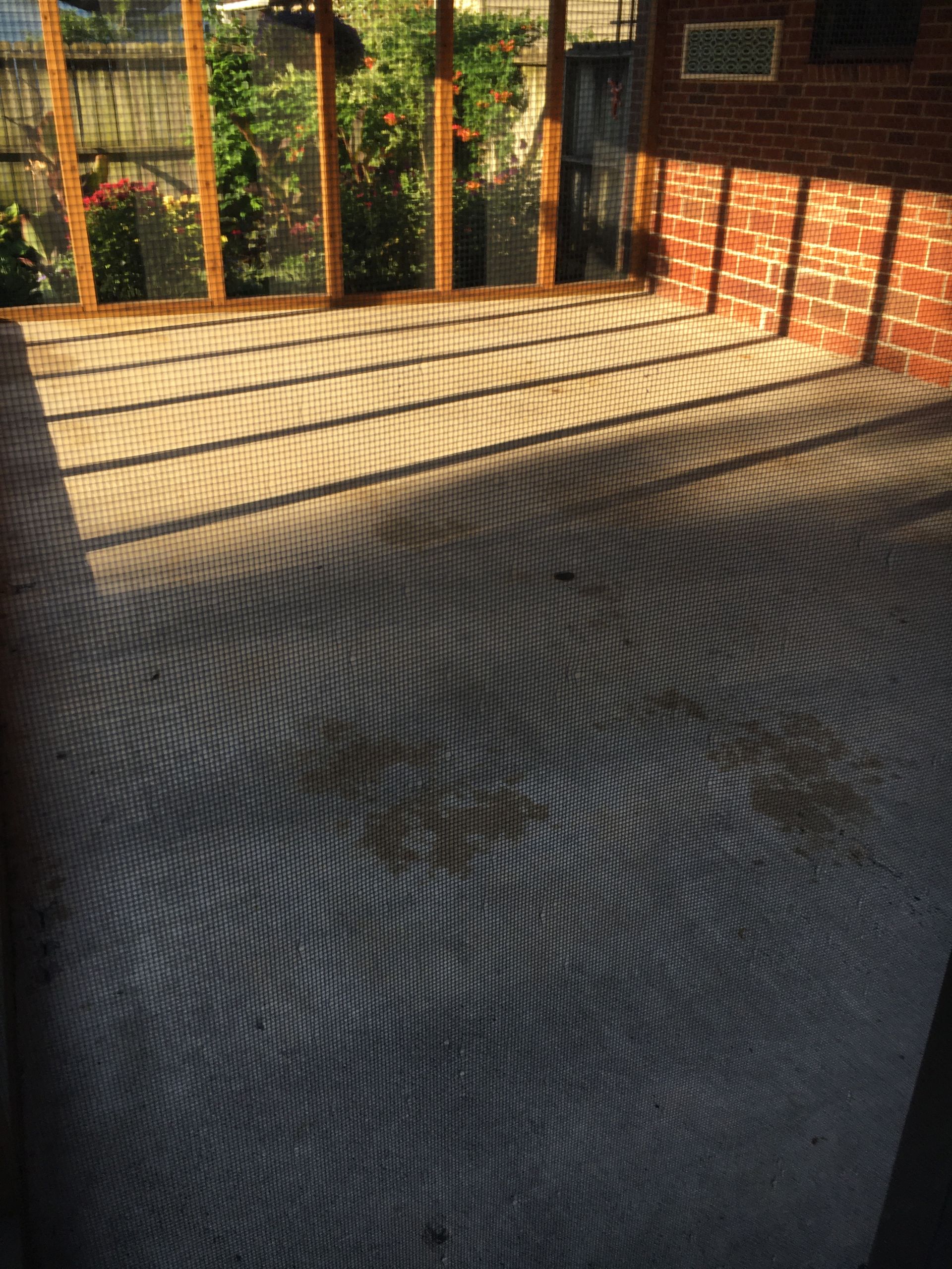 Shadows cast on a concrete patio with brick wall and wooden framed screened enclosure.